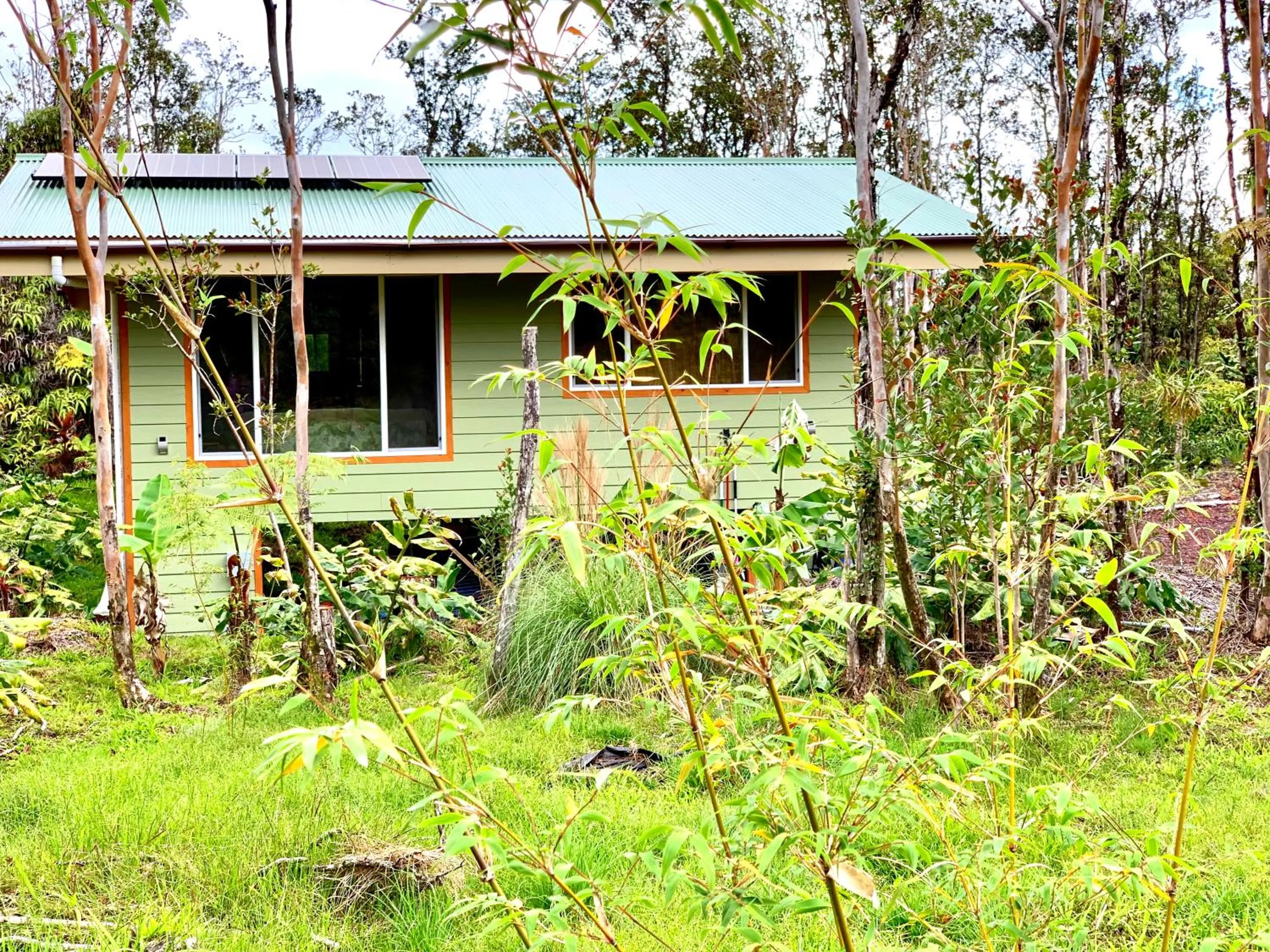Garden in Volcano Eco Cabin & Eco Lodge