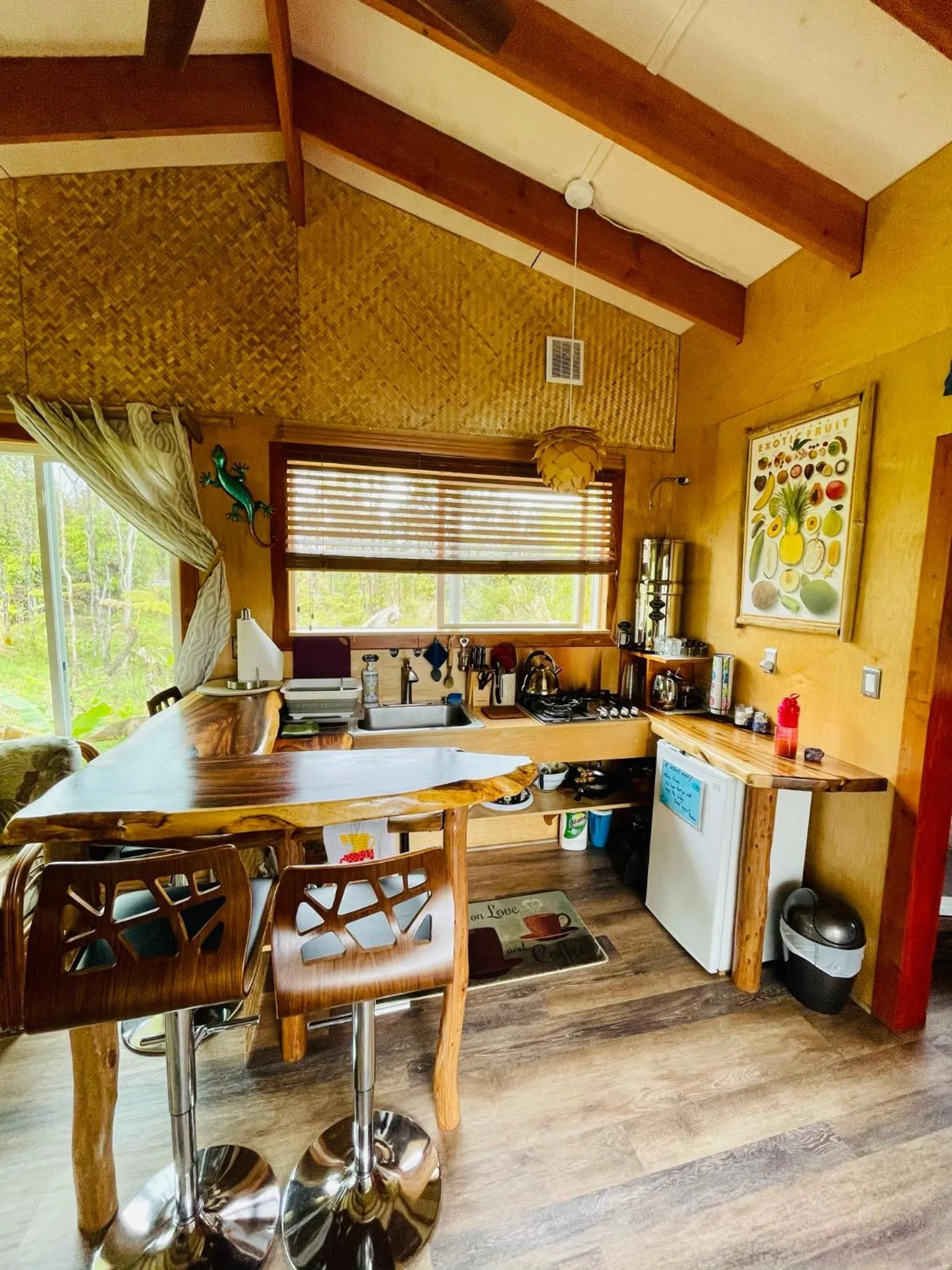 Kitchen or kitchenette in Volcano Eco Cabin & Eco Lodge