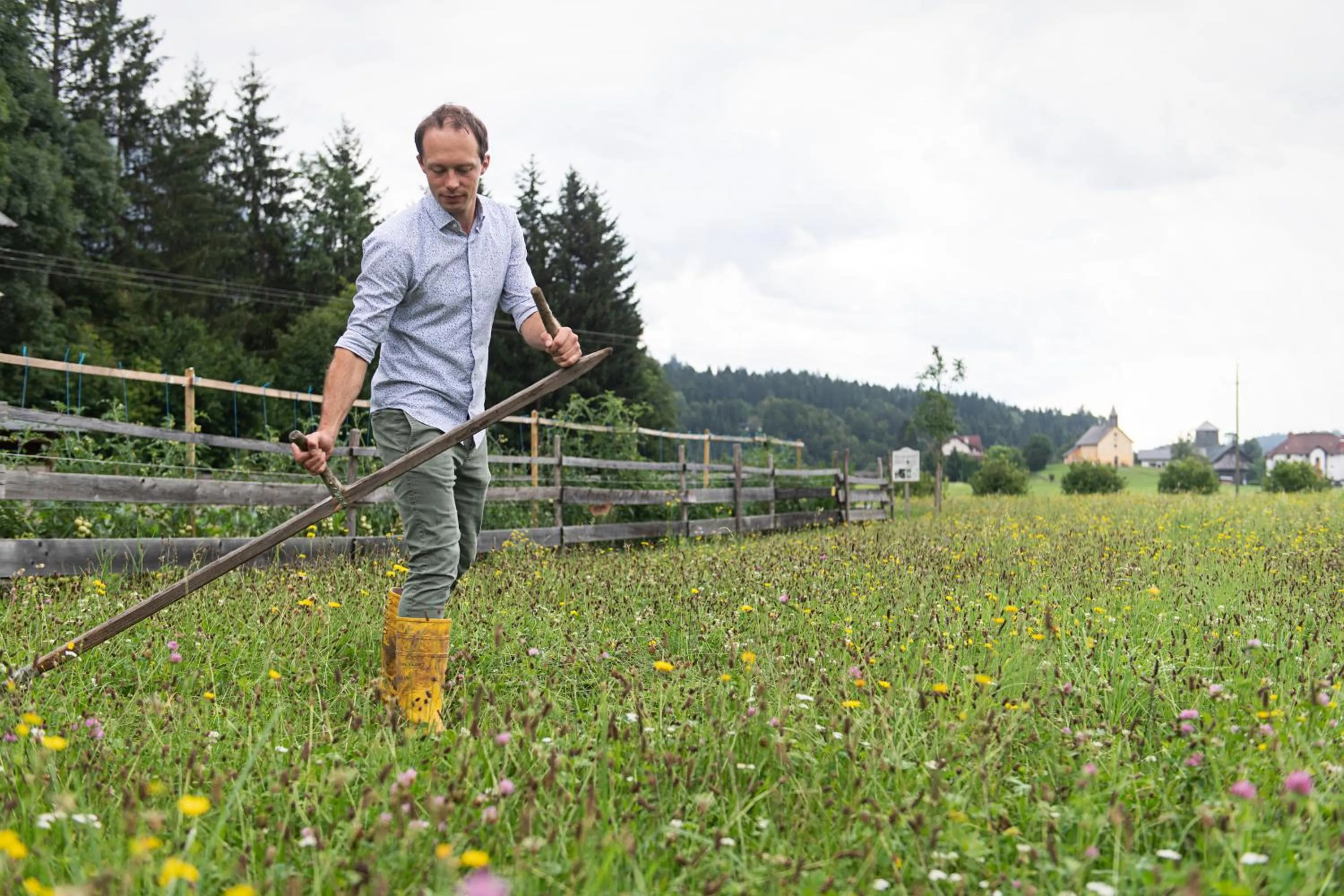 Natural landscape in Hotel Schloss Lerchenhof