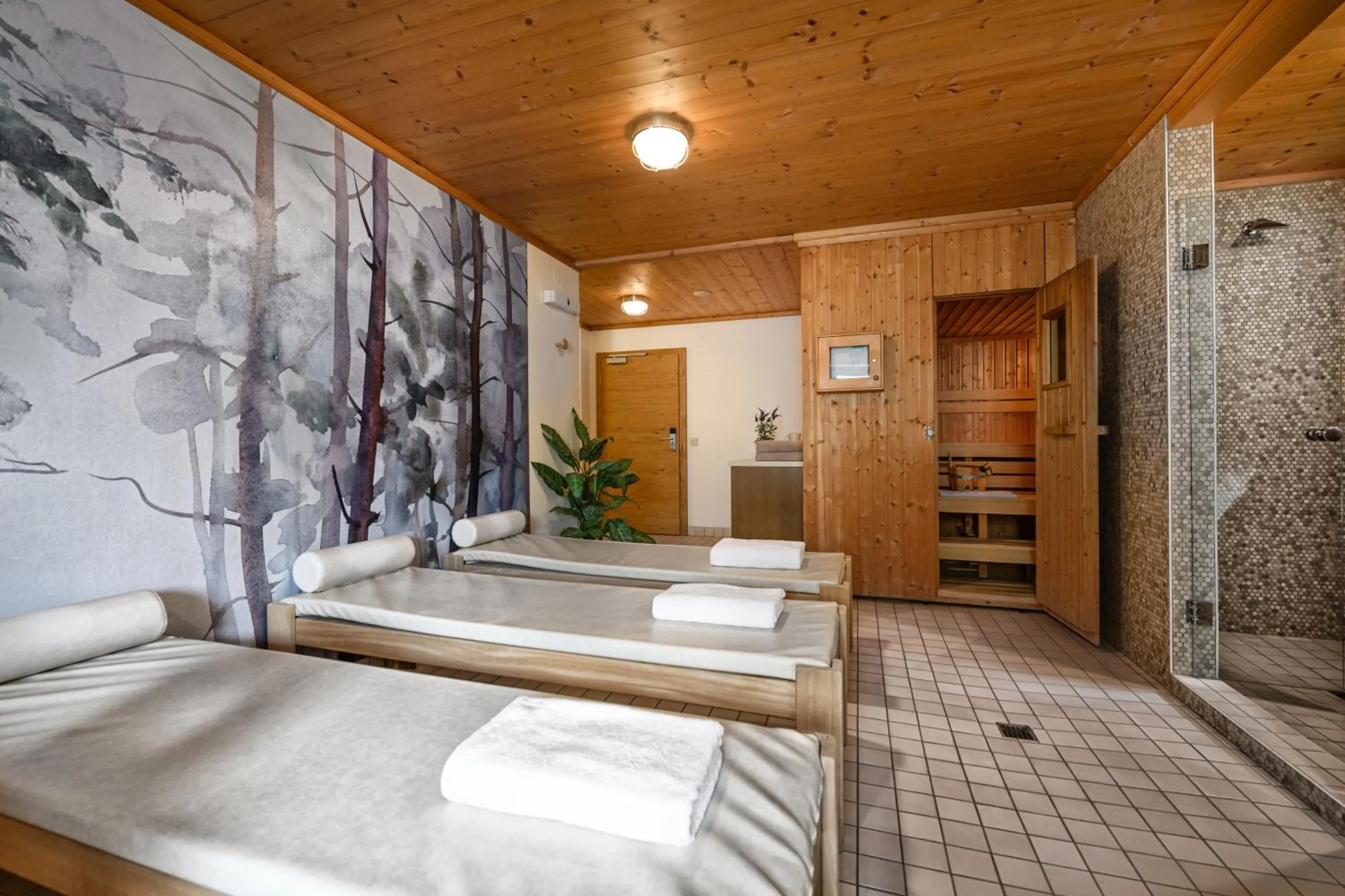 Shower in Ferienhaus Birgit - inklusive Eintritt Alpentherme Bad Hofgastein