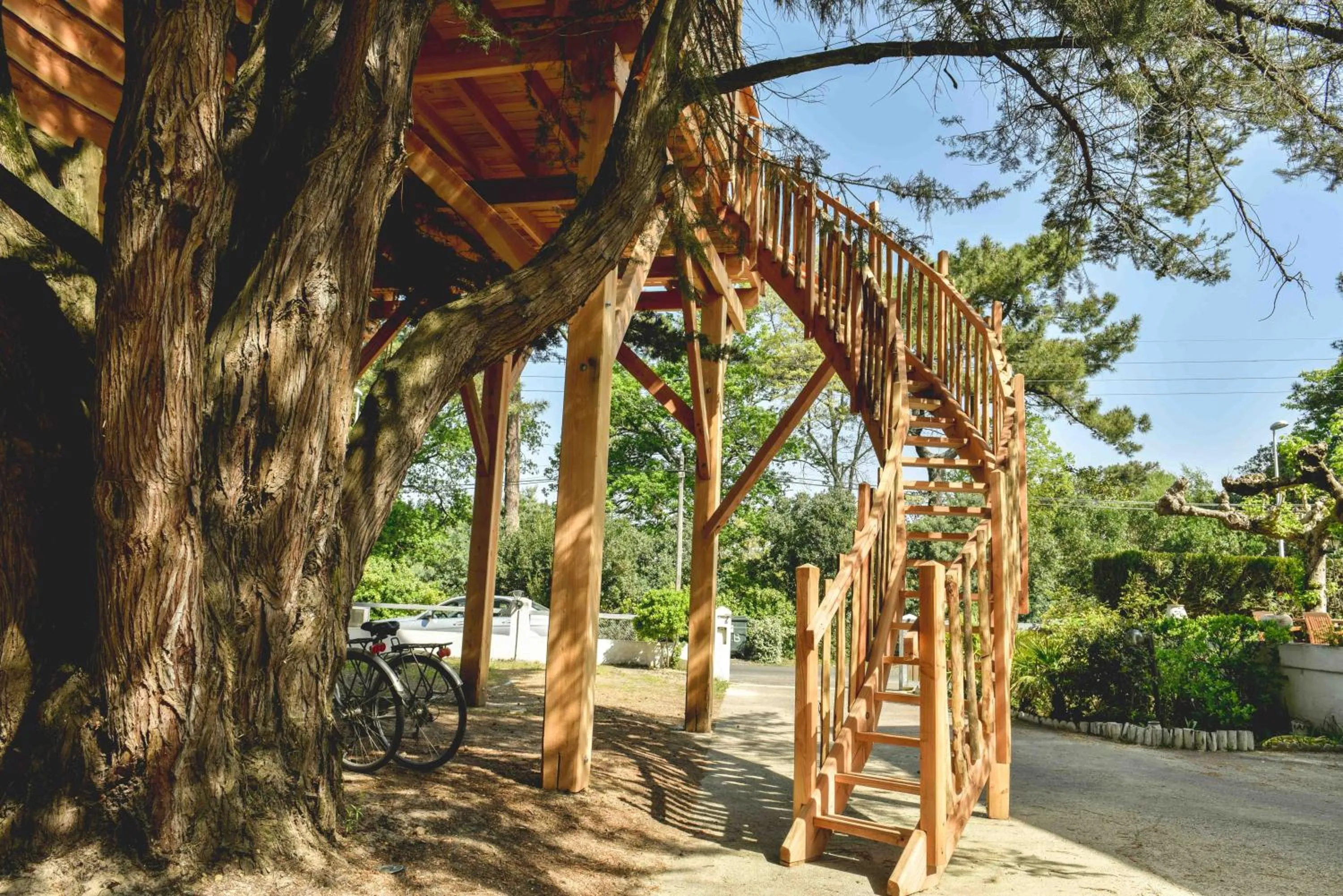 Garden in Logis Hôtel Emeraude des Bois