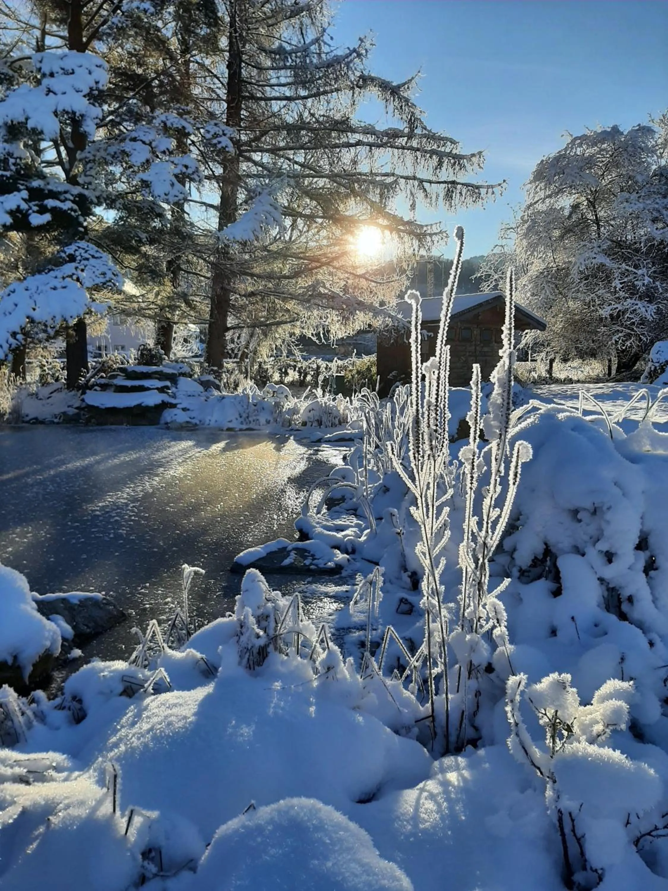 Garden in Gasthof Hotel Doktorwirt