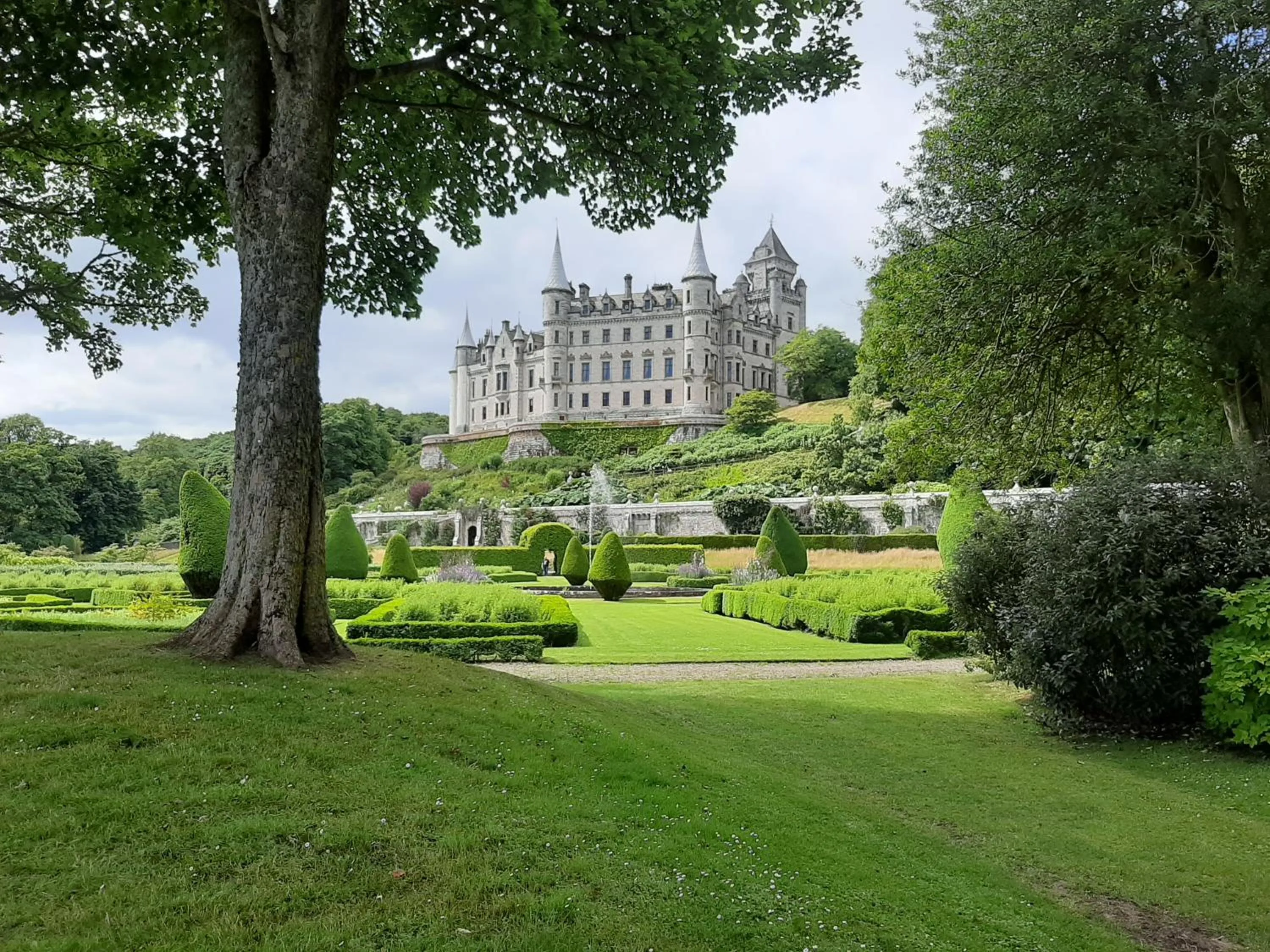 Property building in High March