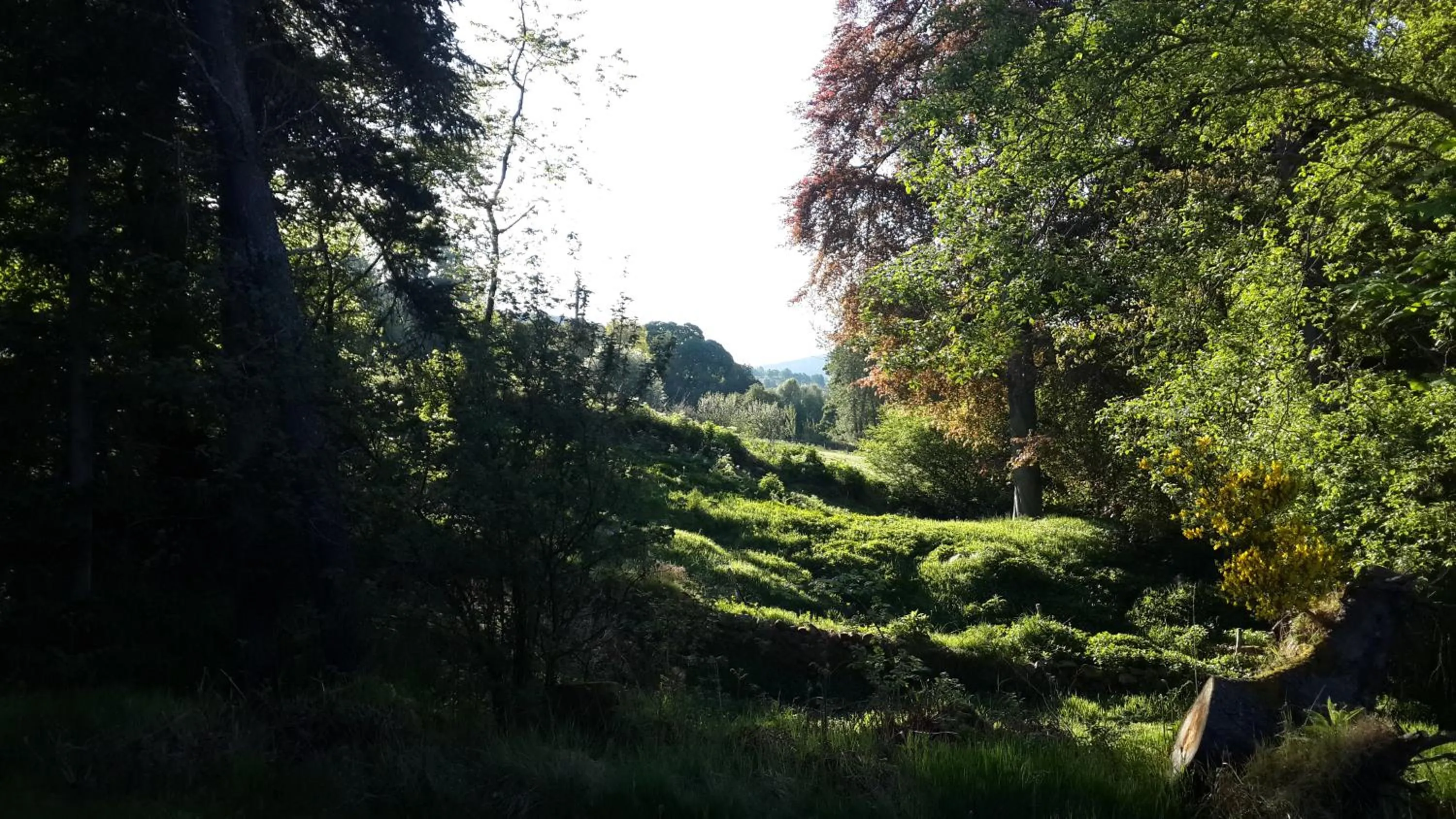 Natural landscape in High March