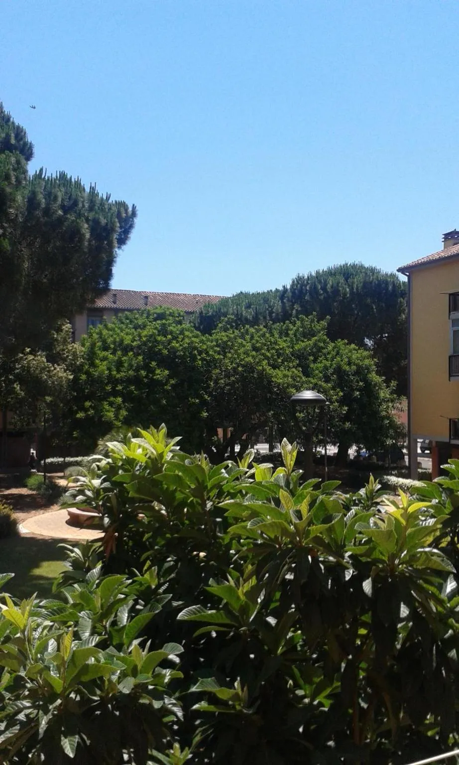 View (from property/room) in B&B Maria Montis