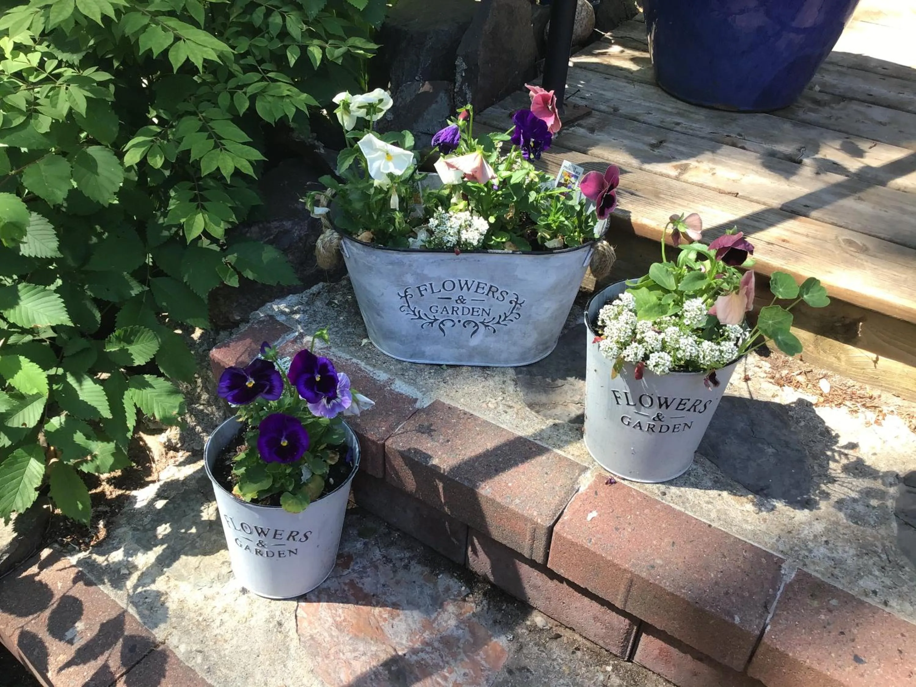 Facade/entrance in The Stella Rose B&B