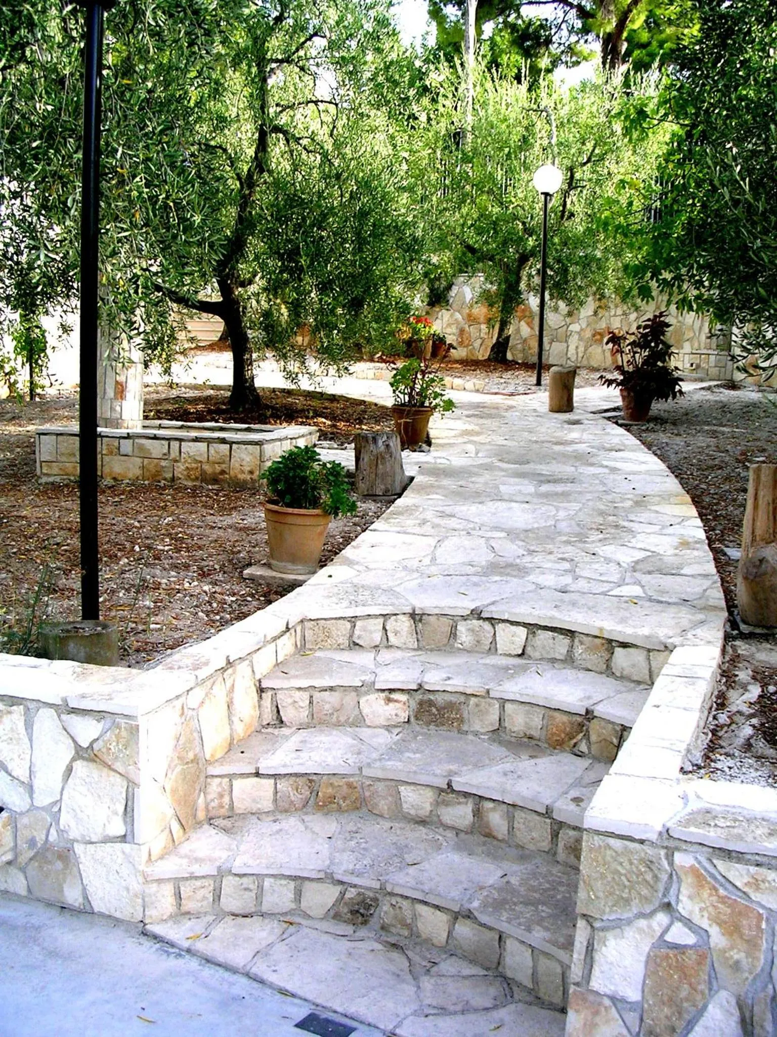 Garden in Residenza Piccolo Uliveto