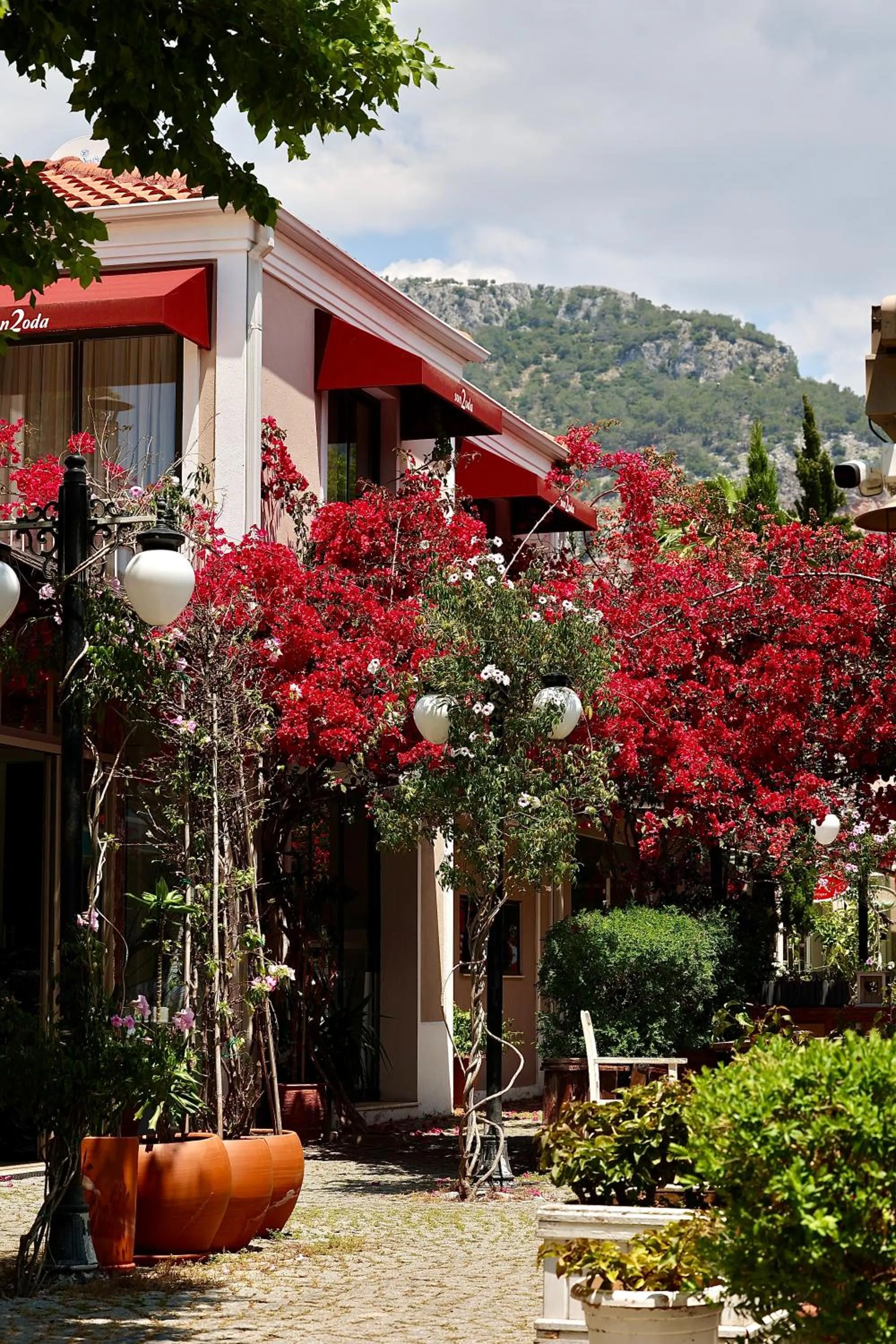 Property building in Son2oda