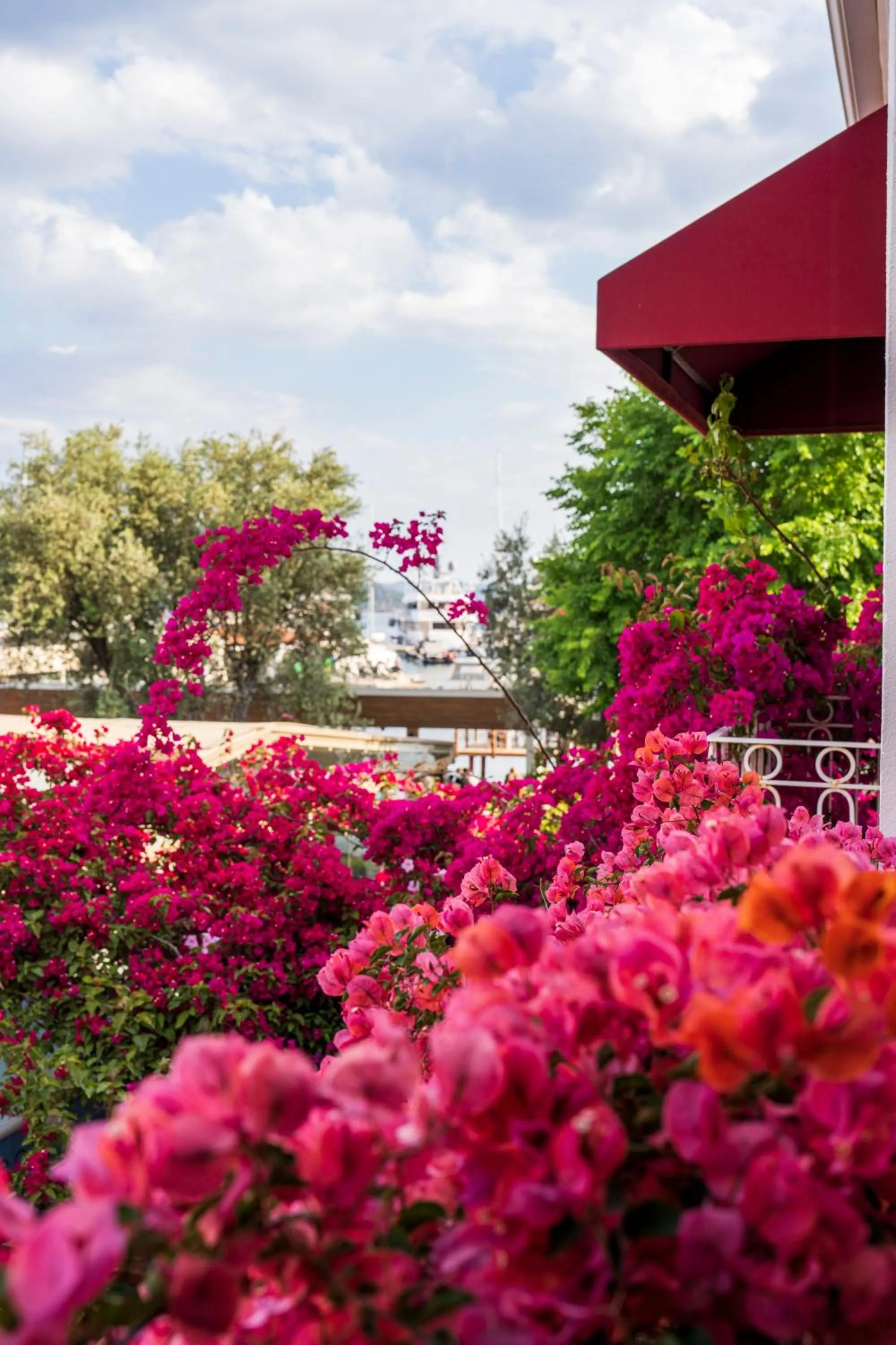 Garden view in Son2oda