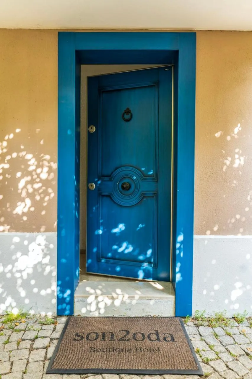 Property building in Son2oda