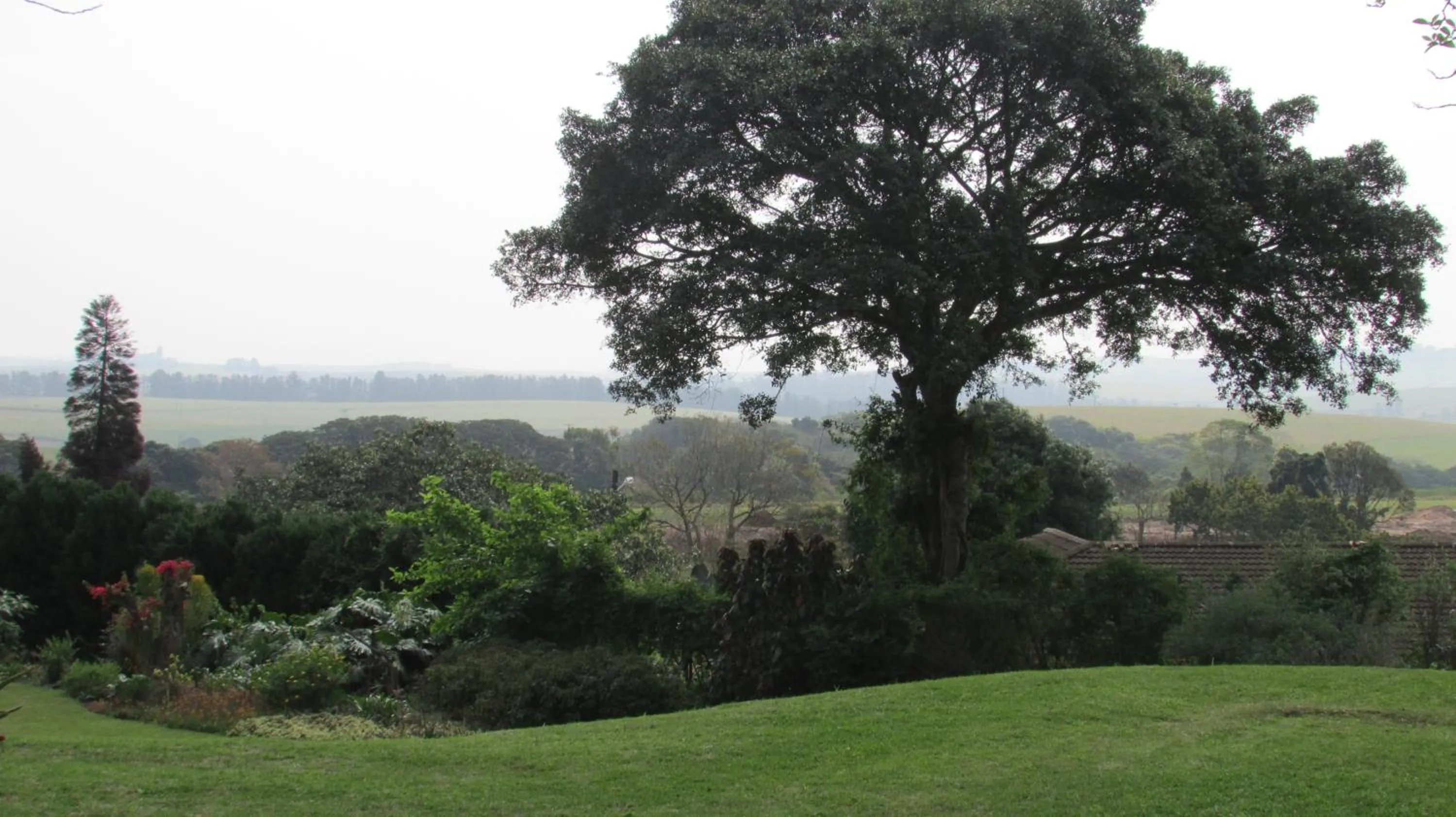Mountain view in Sugar Hill Manor