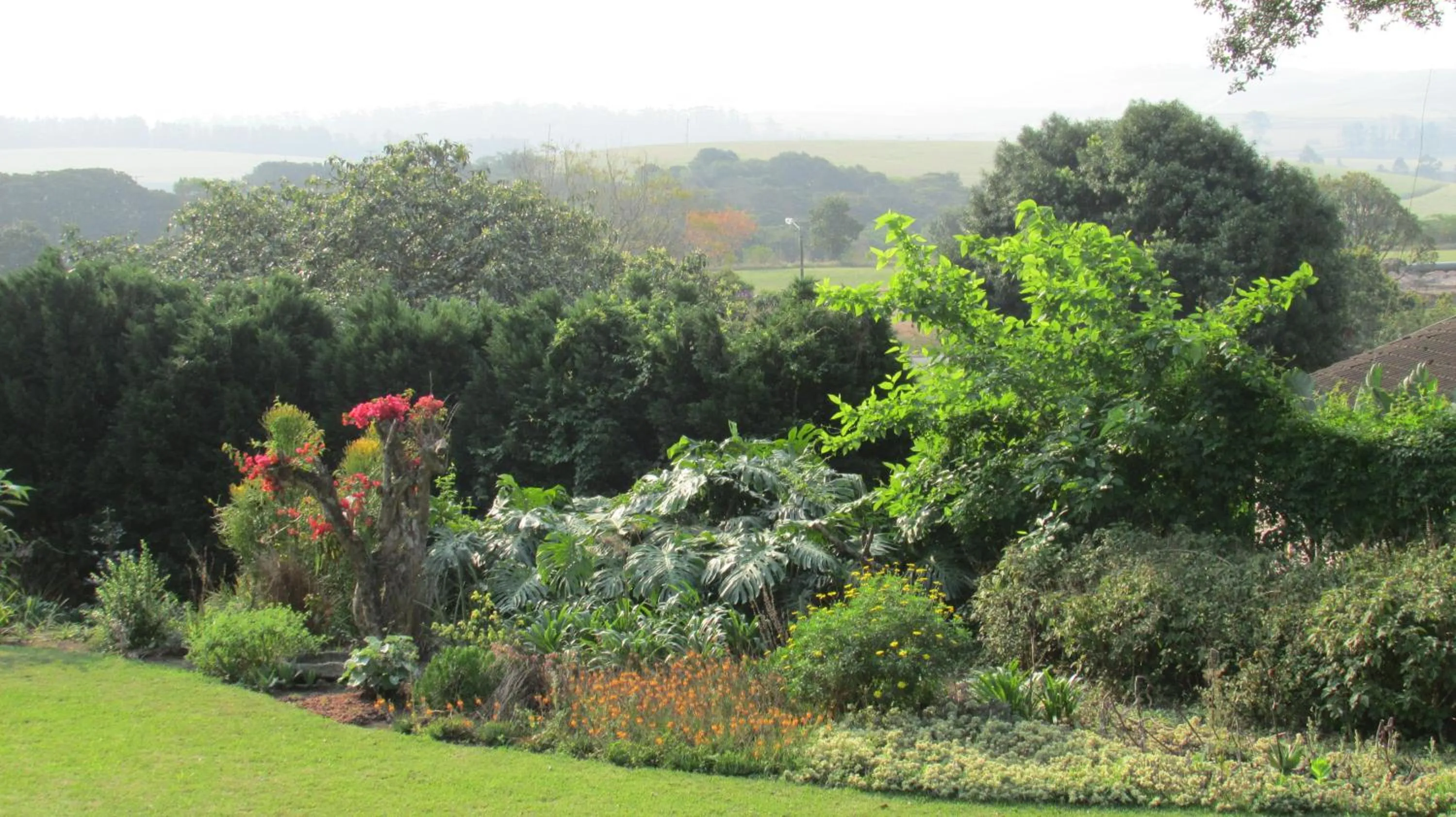 Garden view in Sugar Hill Manor