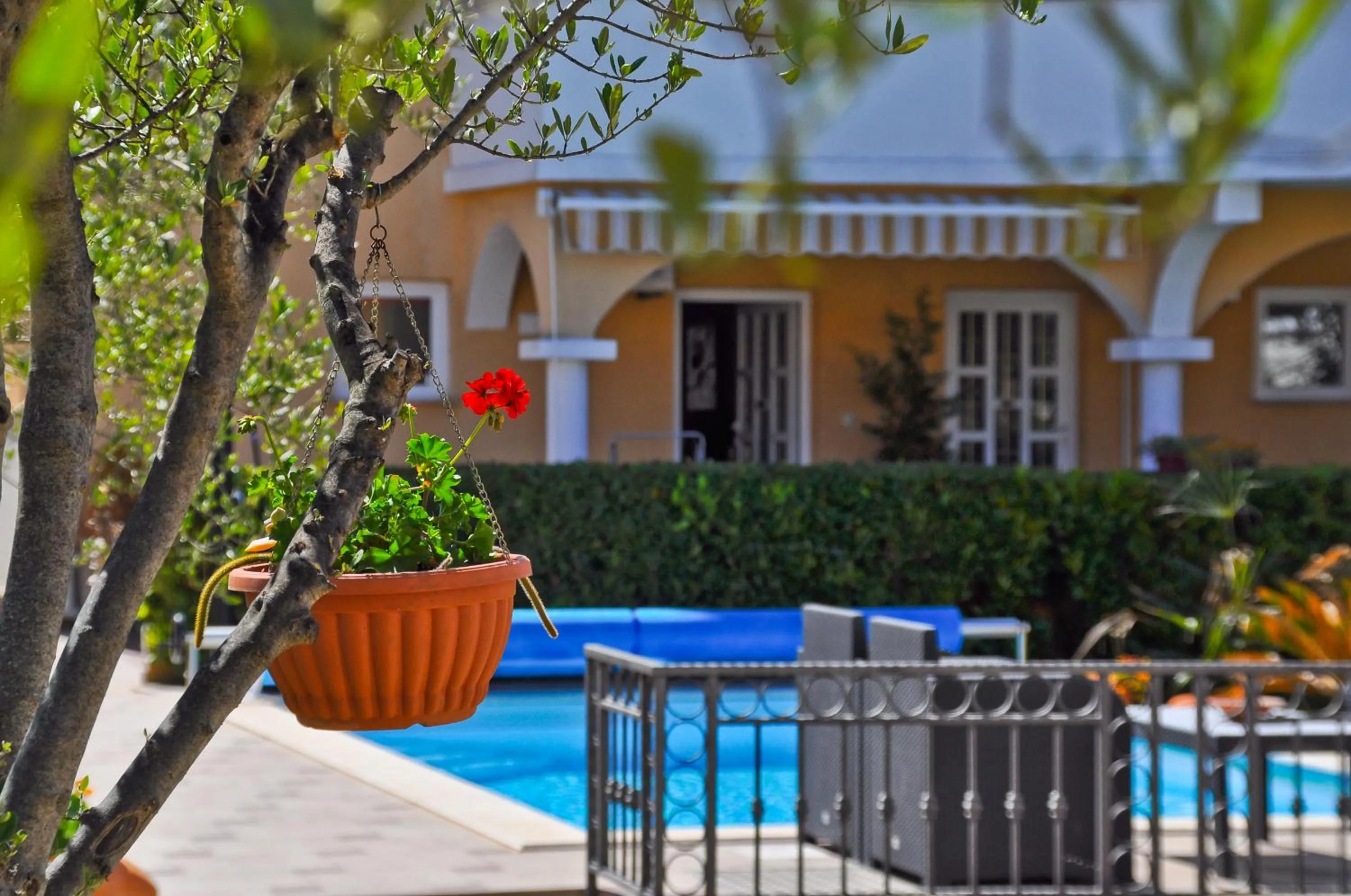 Garden in Villa Vanilla with Heated Pool