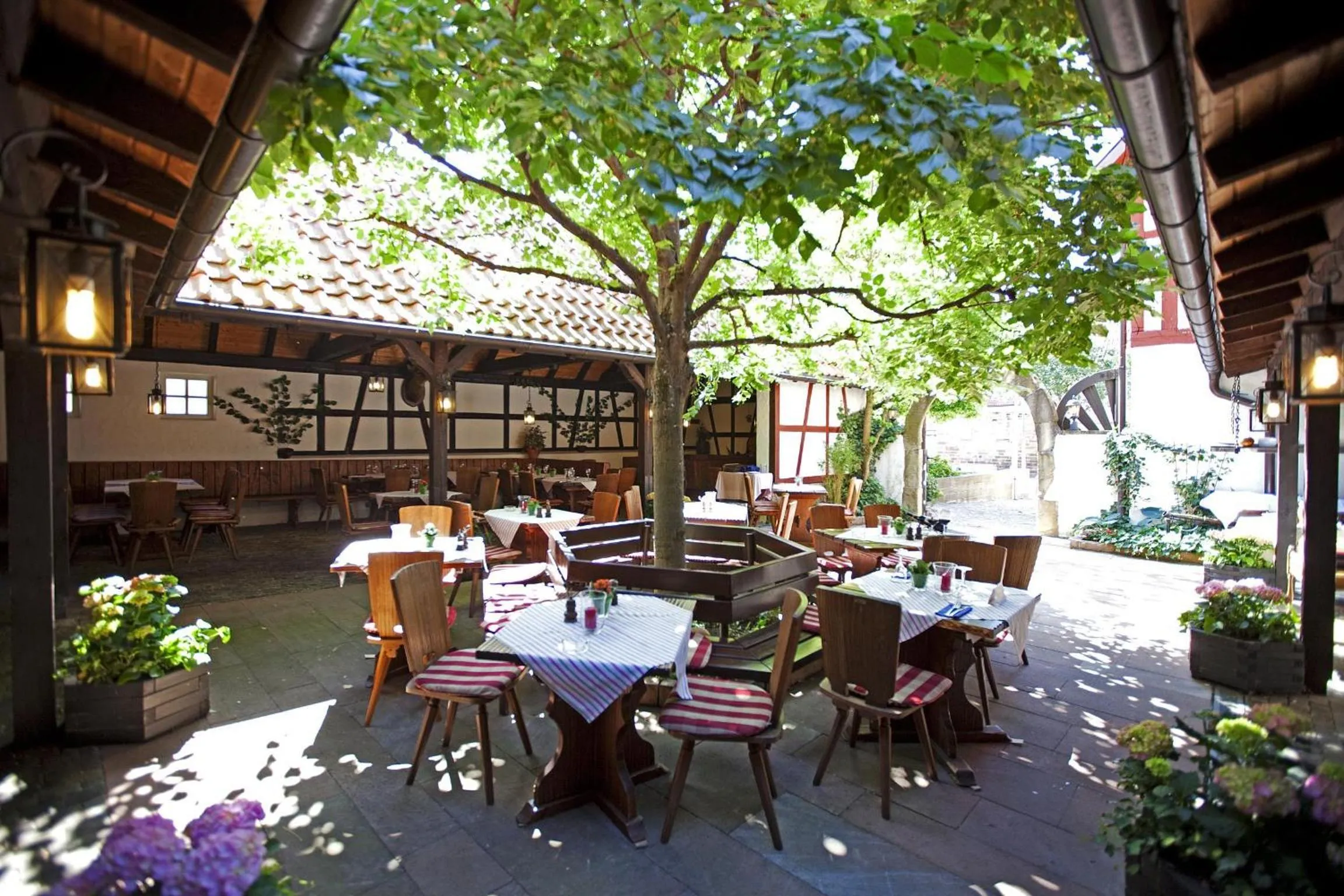 Garden in Hotel Hirsch