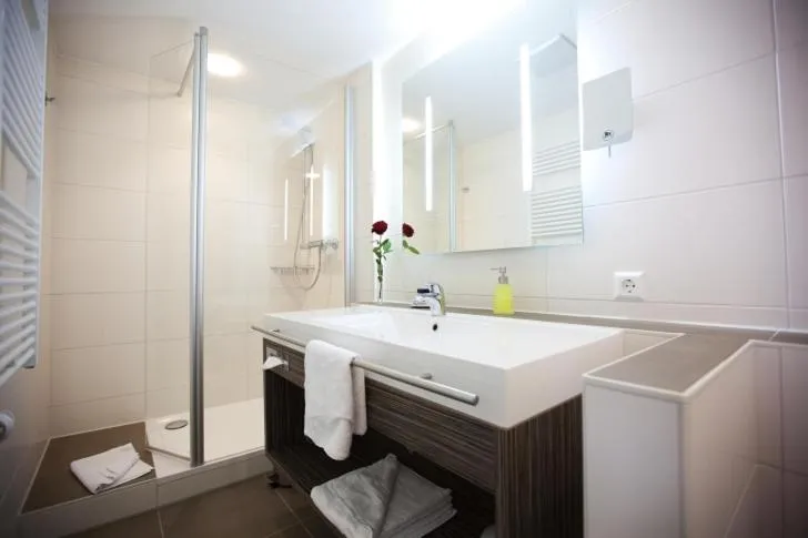 Toilet in Hotel Hirsch