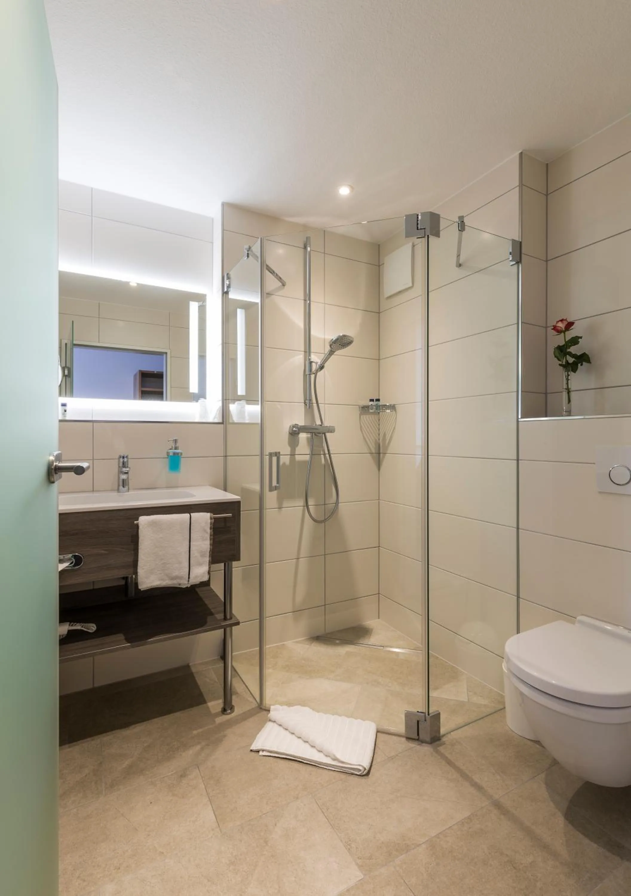 Shower in Hotel Hirsch