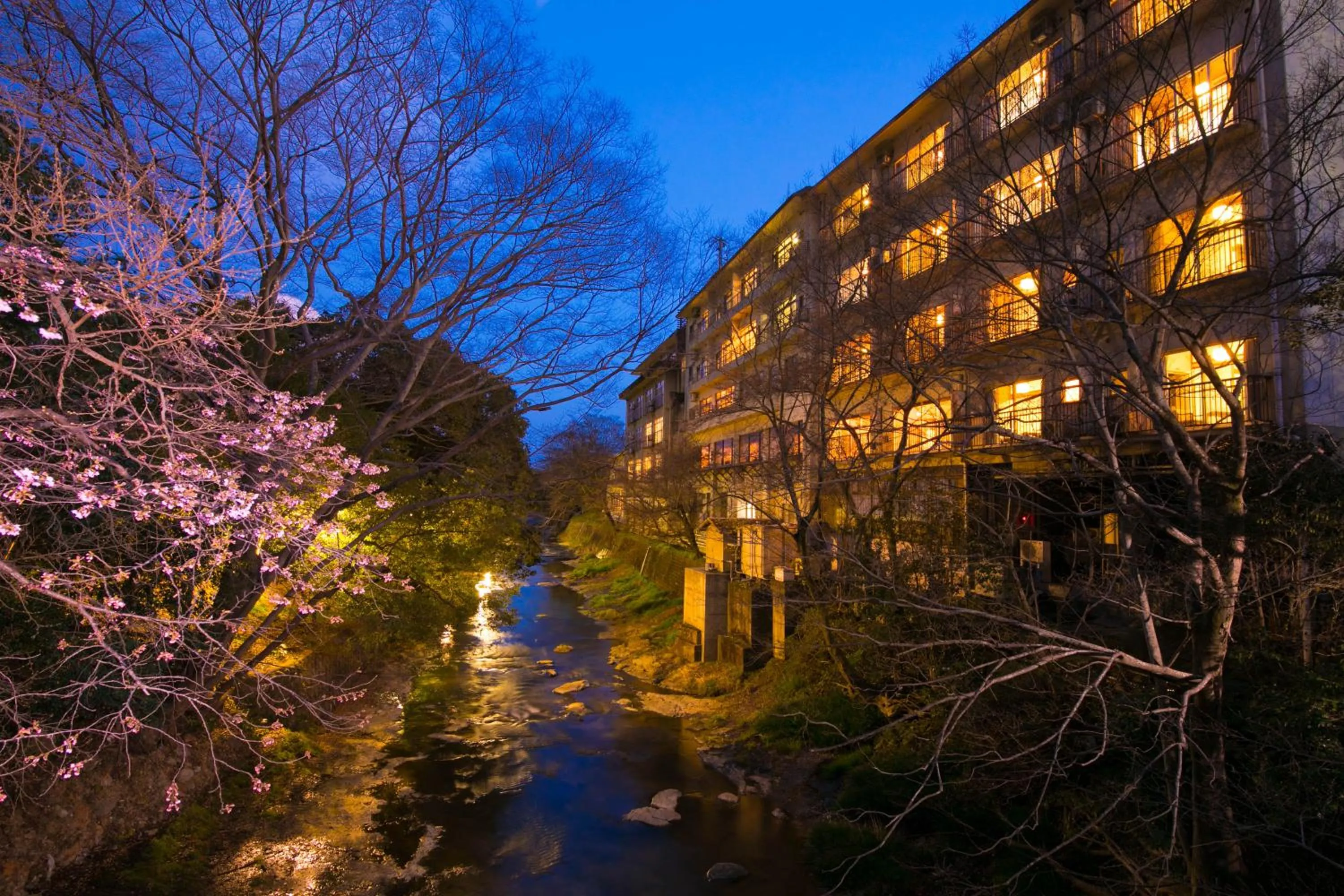Natural landscape in Ryokan Seishounagon