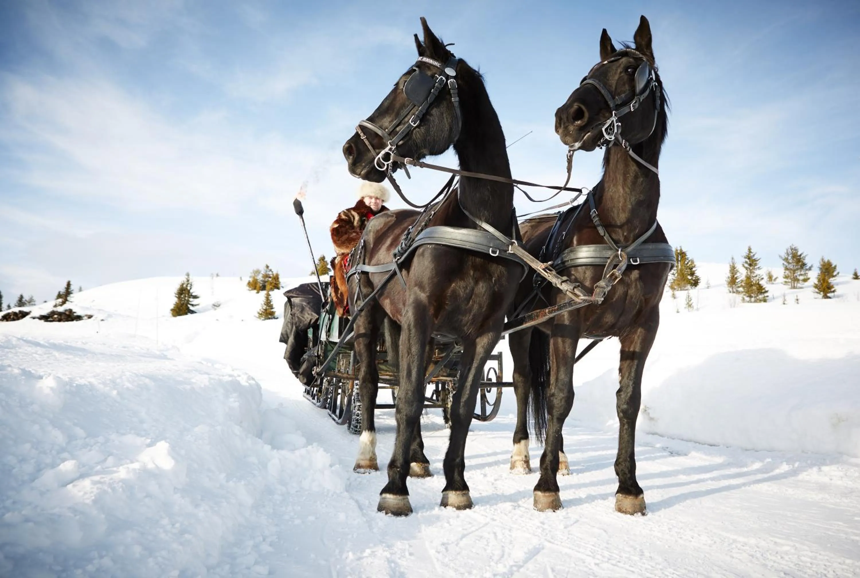 Horse-riding in Storefjell Resort