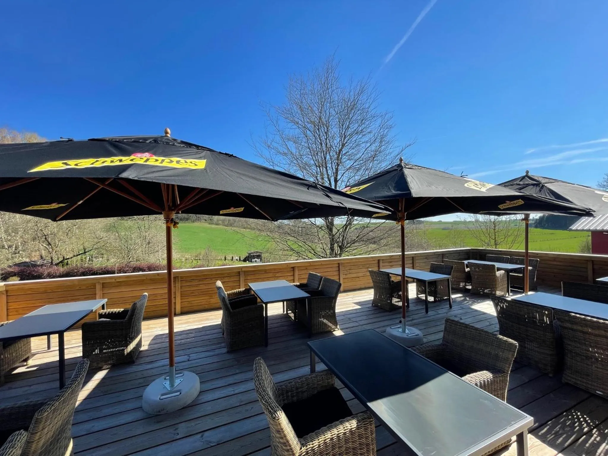 Balcony/Terrace in Hôtel Restaurant Lamy