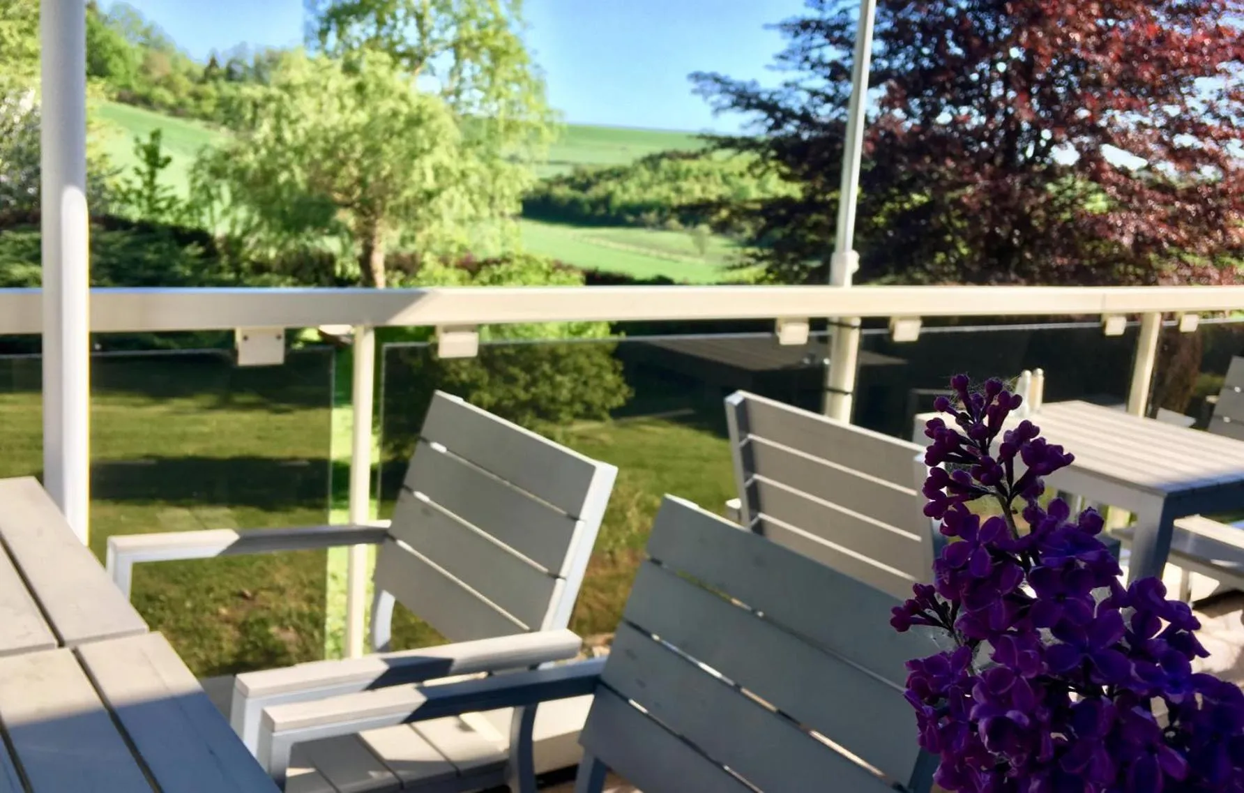 Balcony/Terrace in Hôtel Restaurant Lamy