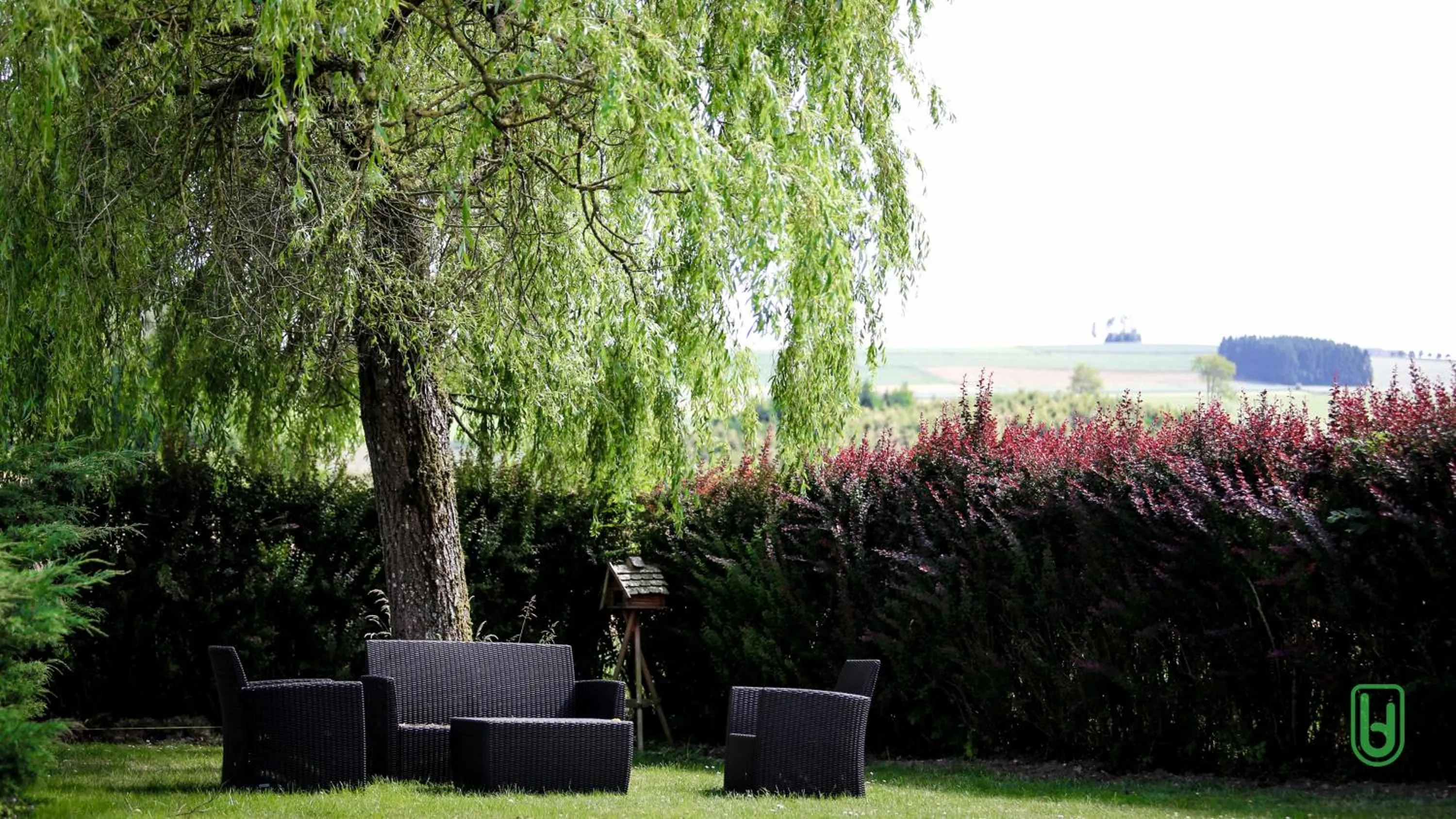 Garden in Hôtel Restaurant Lamy
