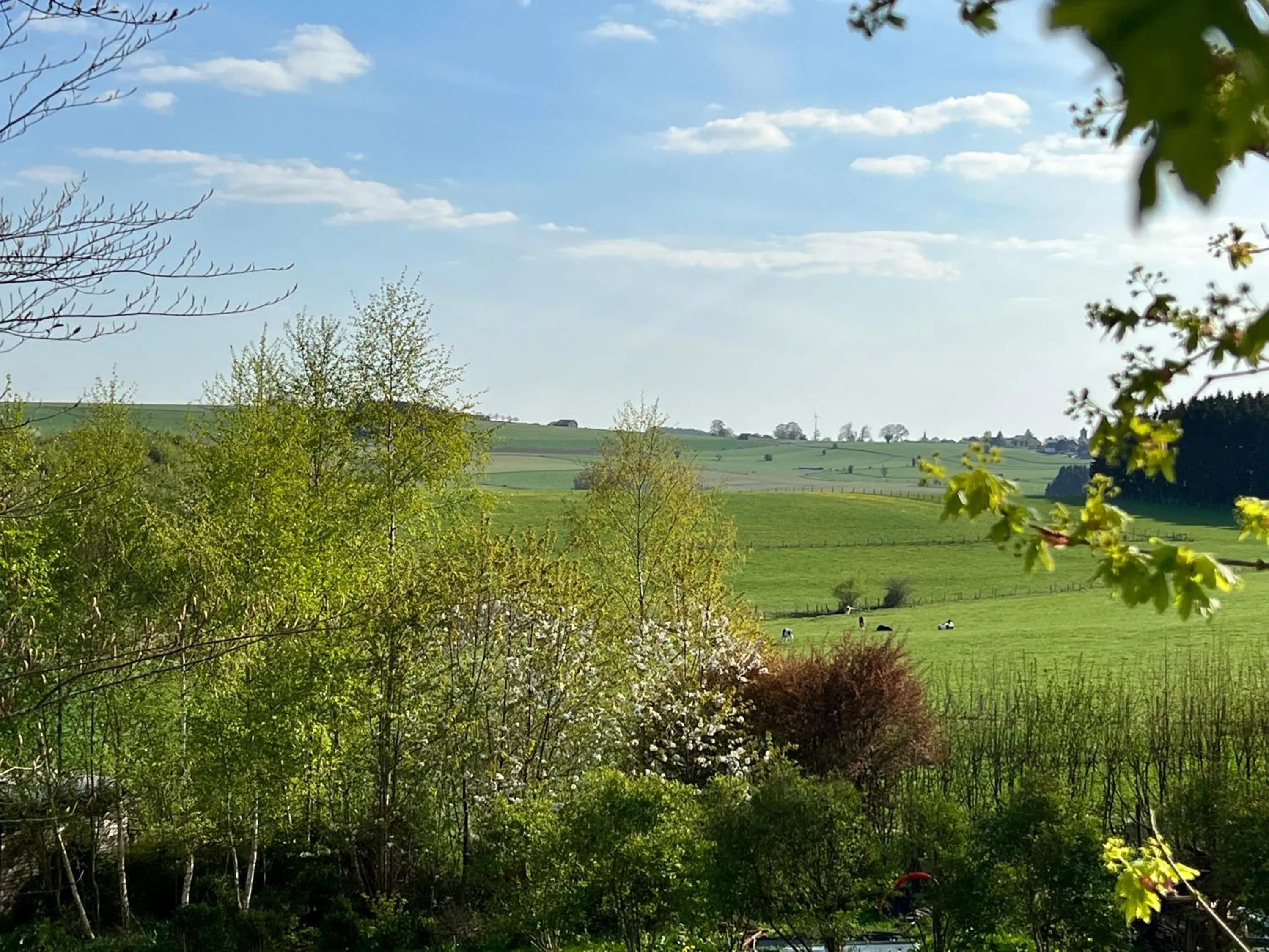 View (from property/room) in Hôtel Restaurant Lamy