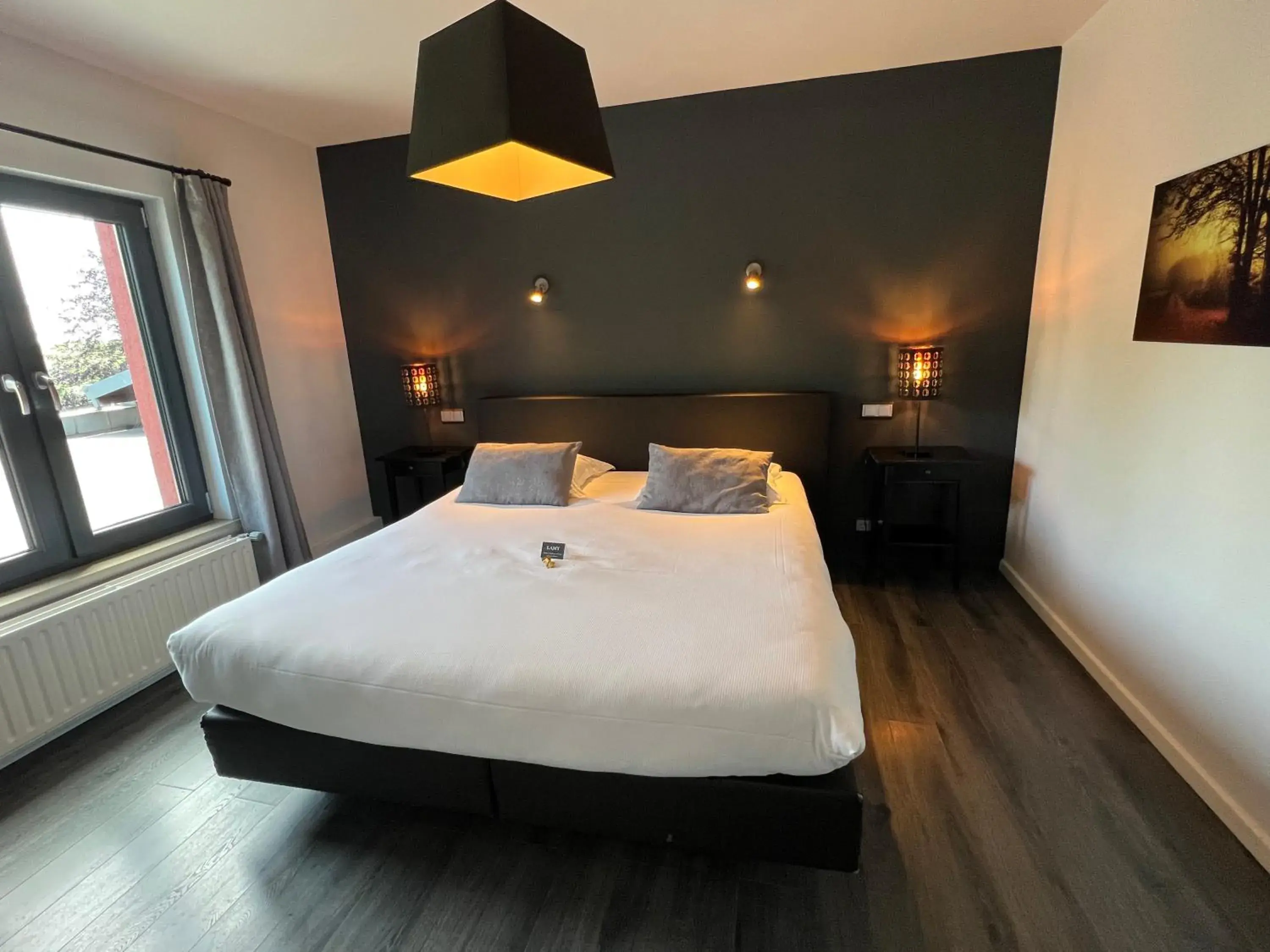 Double Room in Hôtel Restaurant Lamy Double Room in Hôtel Restaurant Lamy