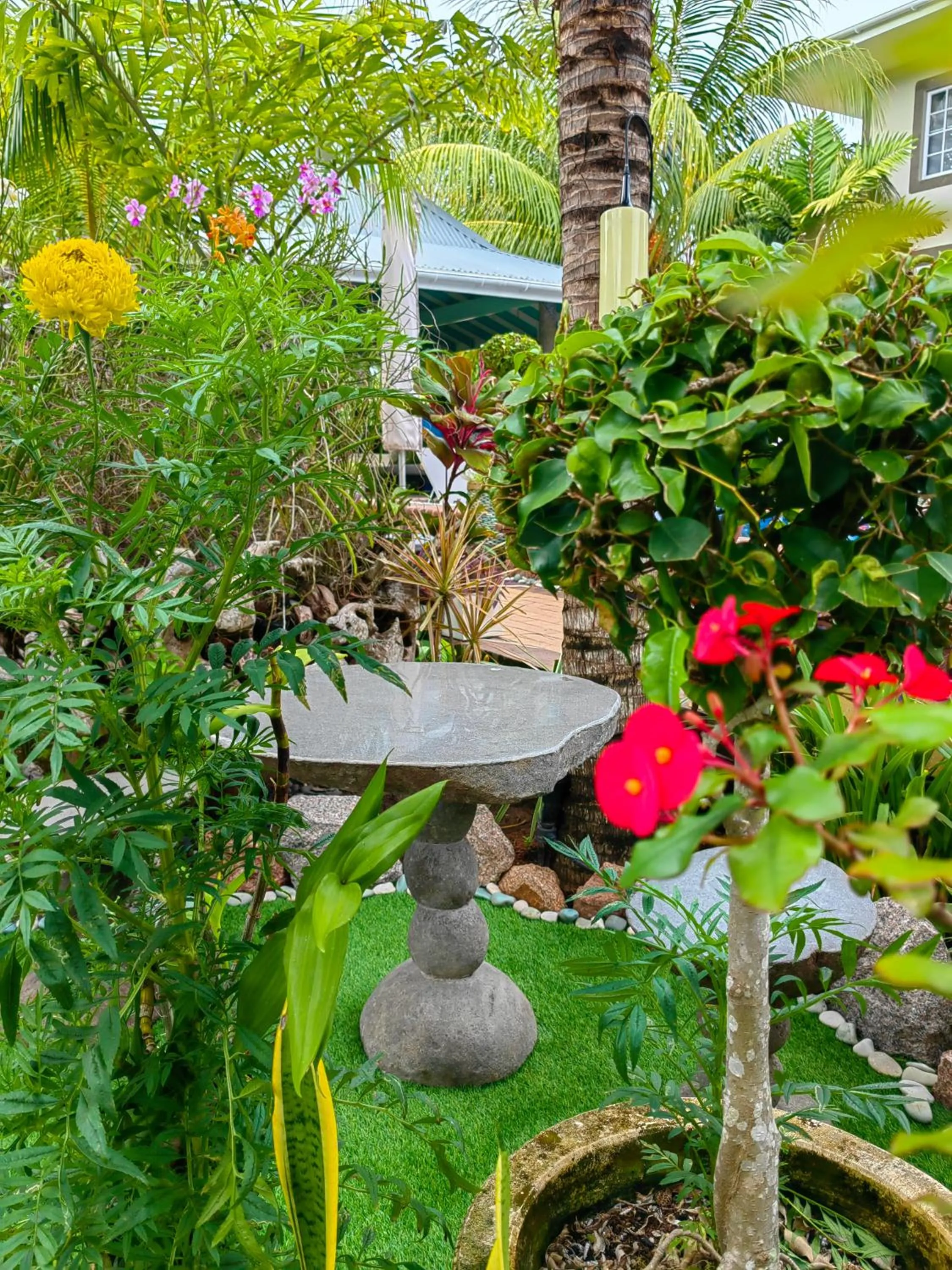 Garden in Villa Charme de L'ile
