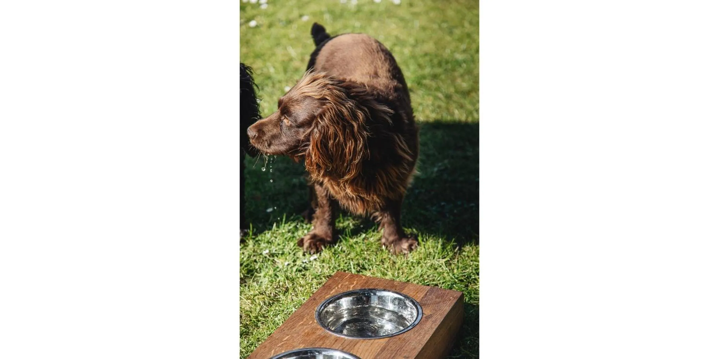 Other in Blue Ball Inn