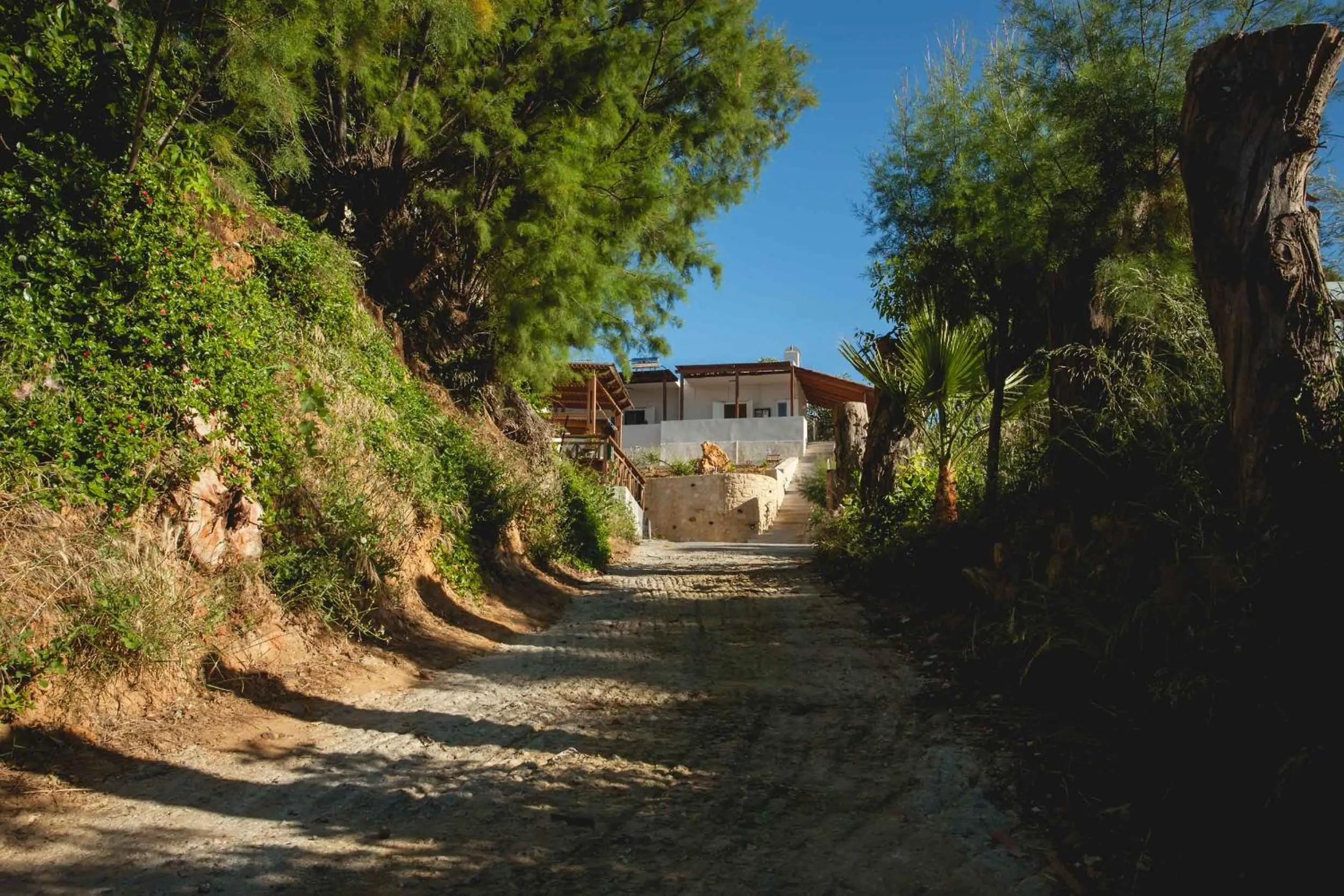 Street view in Popy's Place