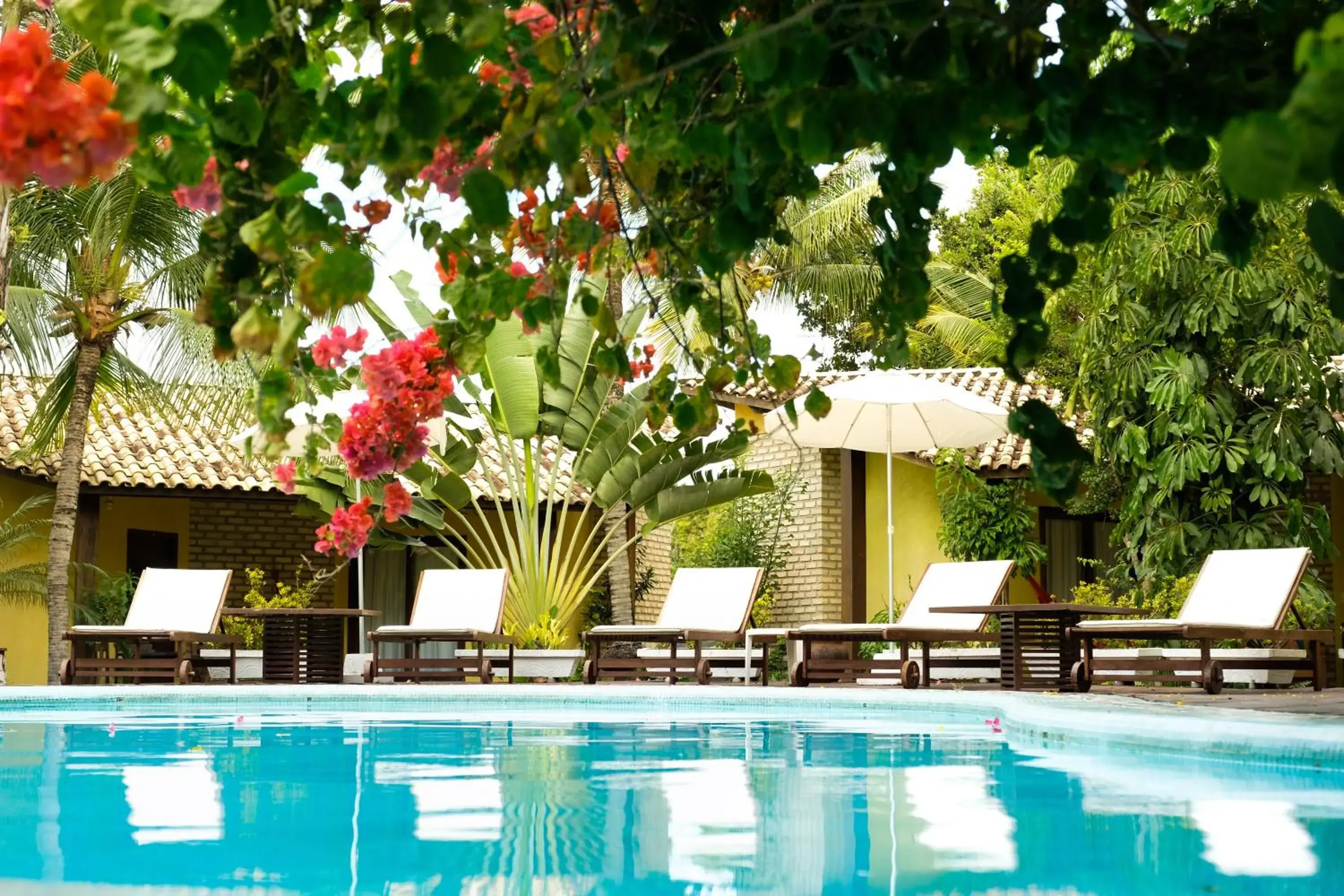 Swimming pool in Brasil Tropical Village Swimming pool in Brasil Tropical Village