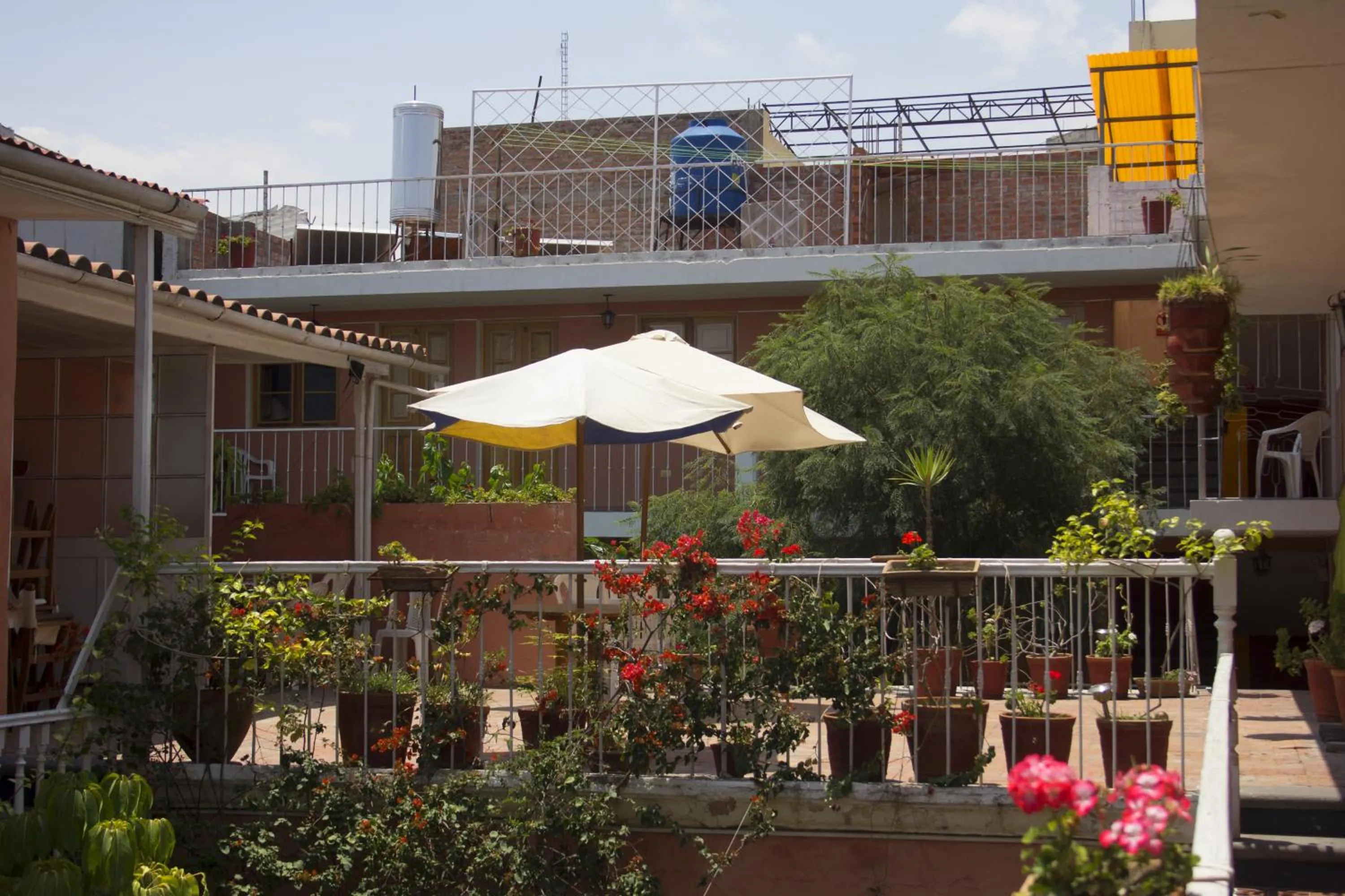 Balcony/Terrace in Posada Nueva España
