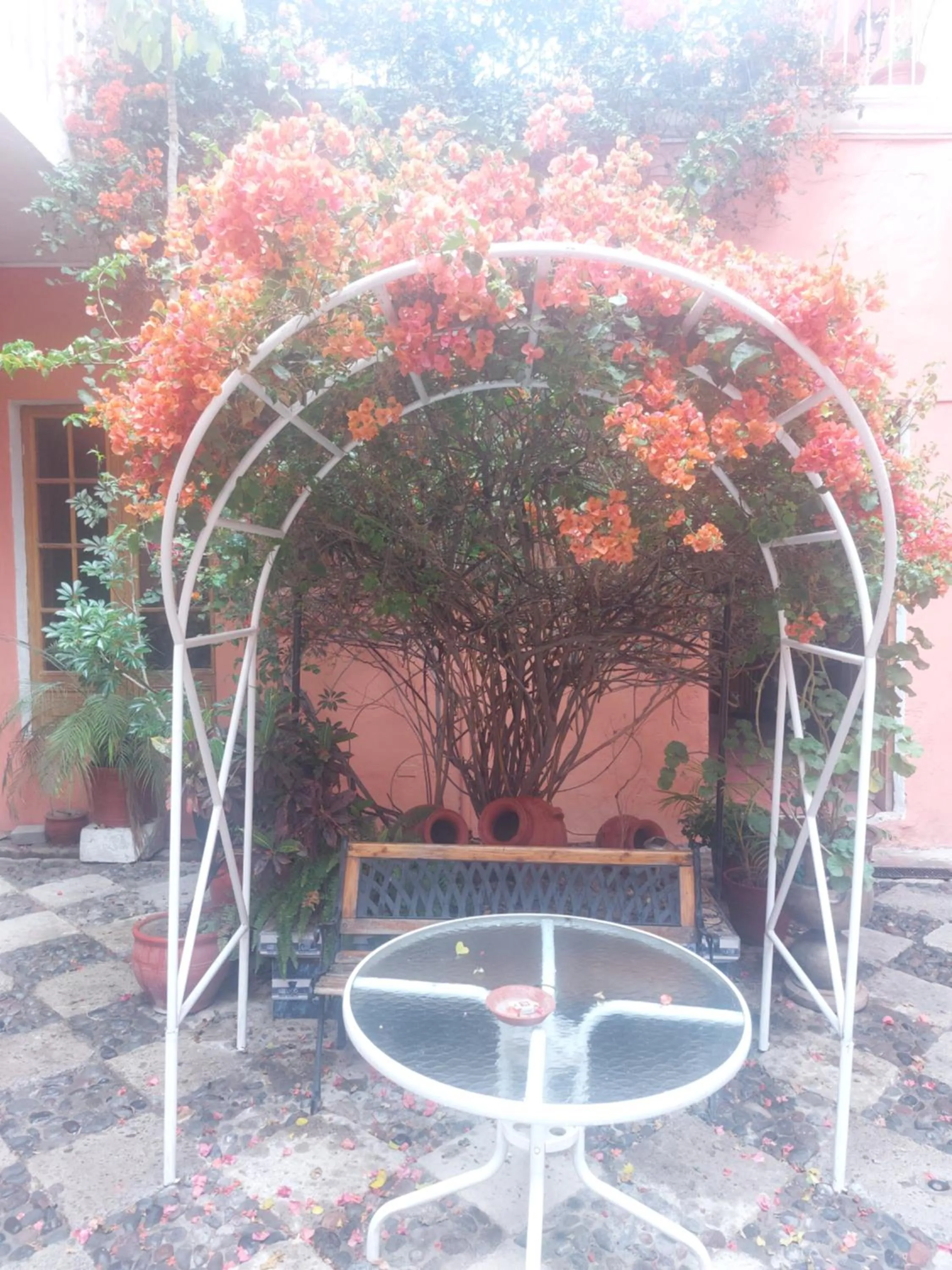 Patio in Posada Nueva España