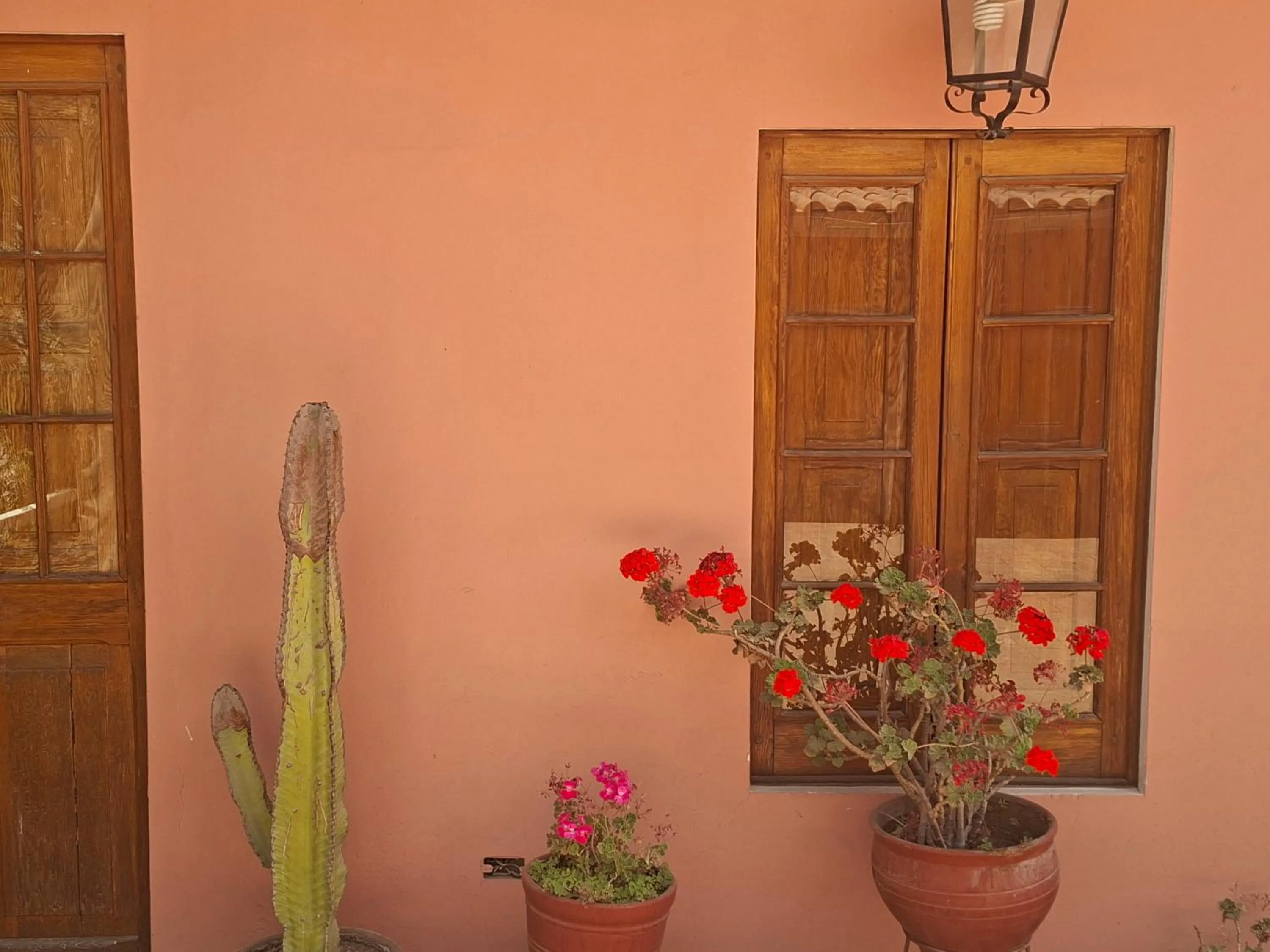 Posada Nueva España