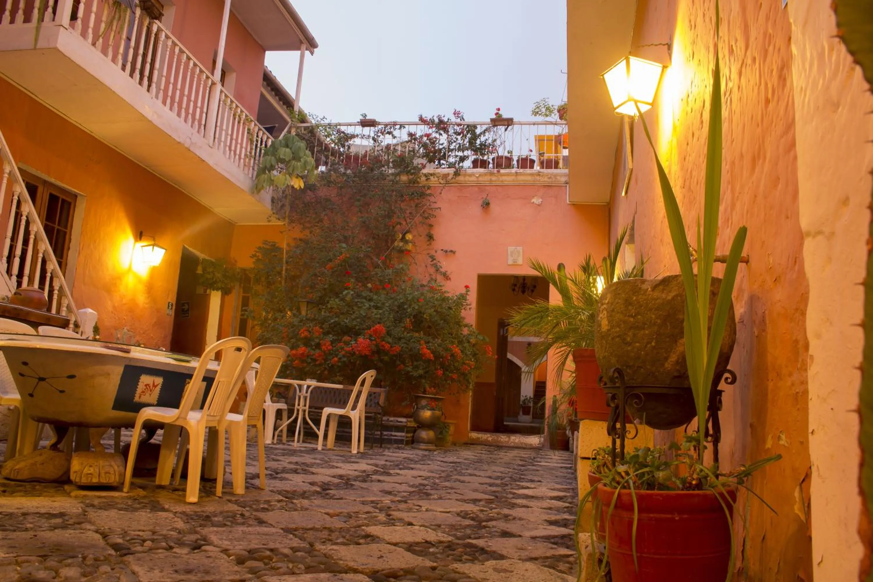 Garden in Posada Nueva España