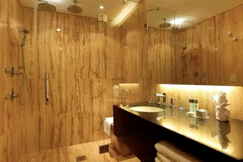 Bathroom in Eurobuilding Express Maiquetía Bathroom in Eurobuilding Express Maiquetía