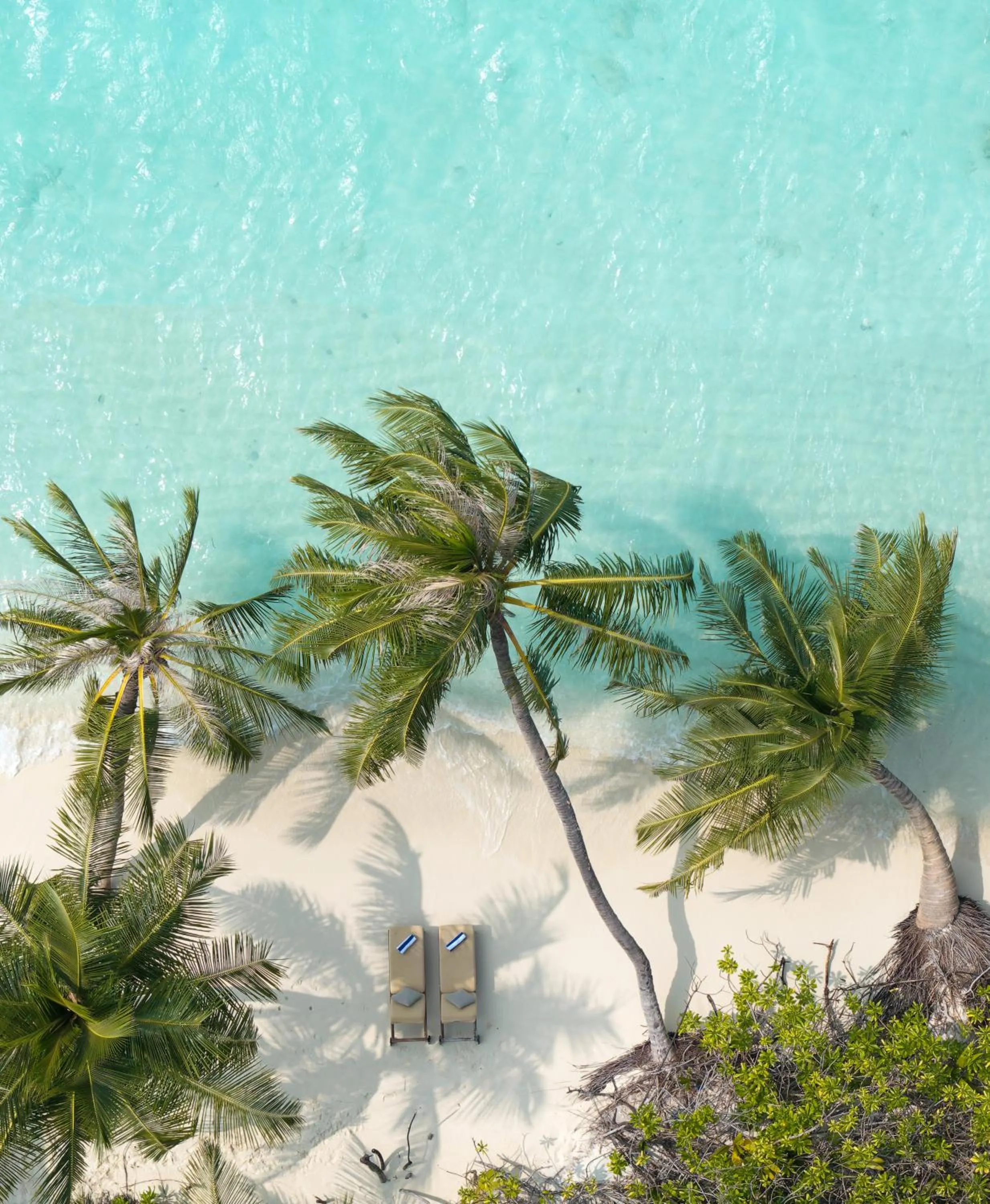 Natural landscape in Bandos Maldives