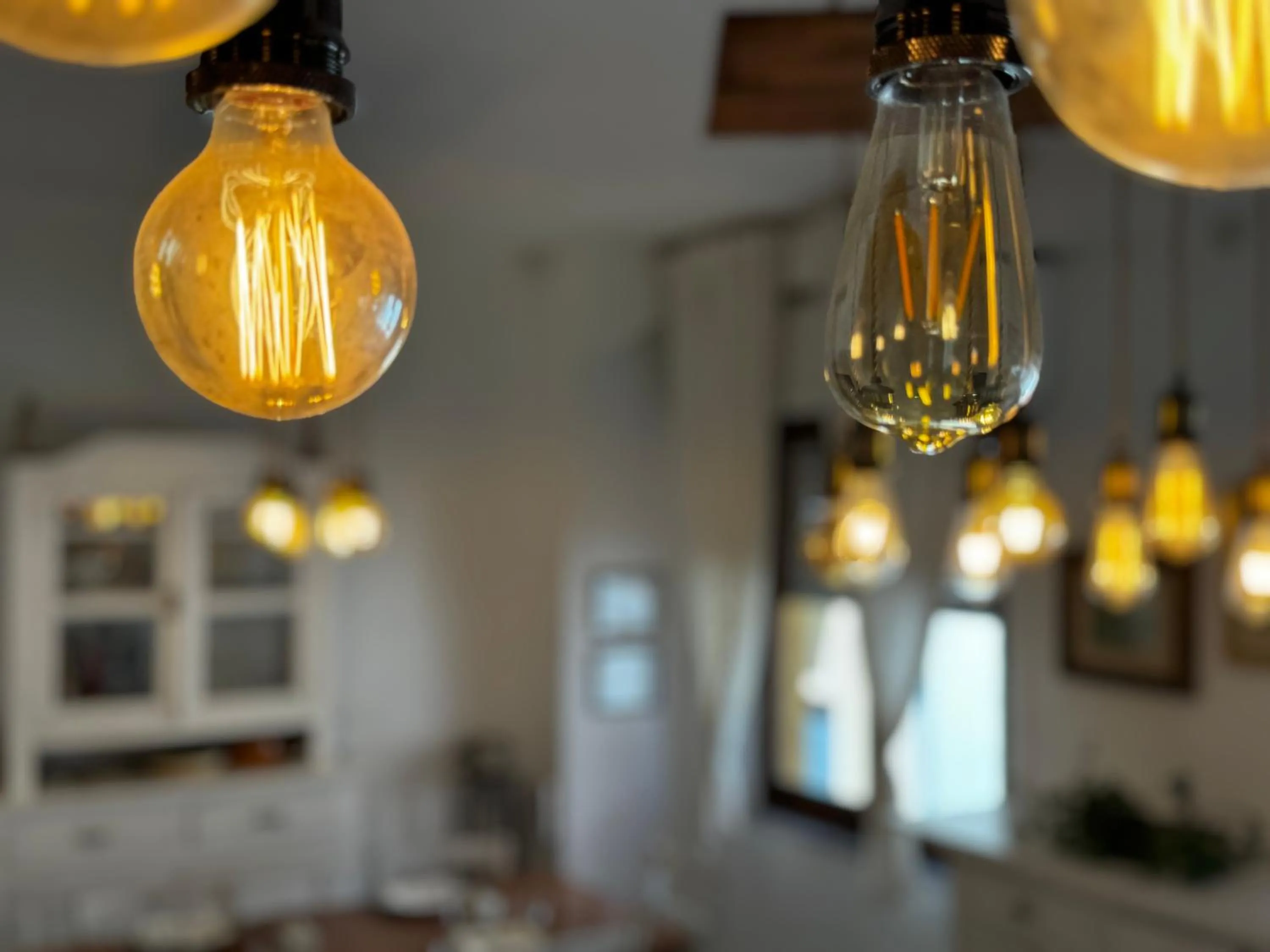 Restaurant/places to eat in B&B Selvaggio Blu