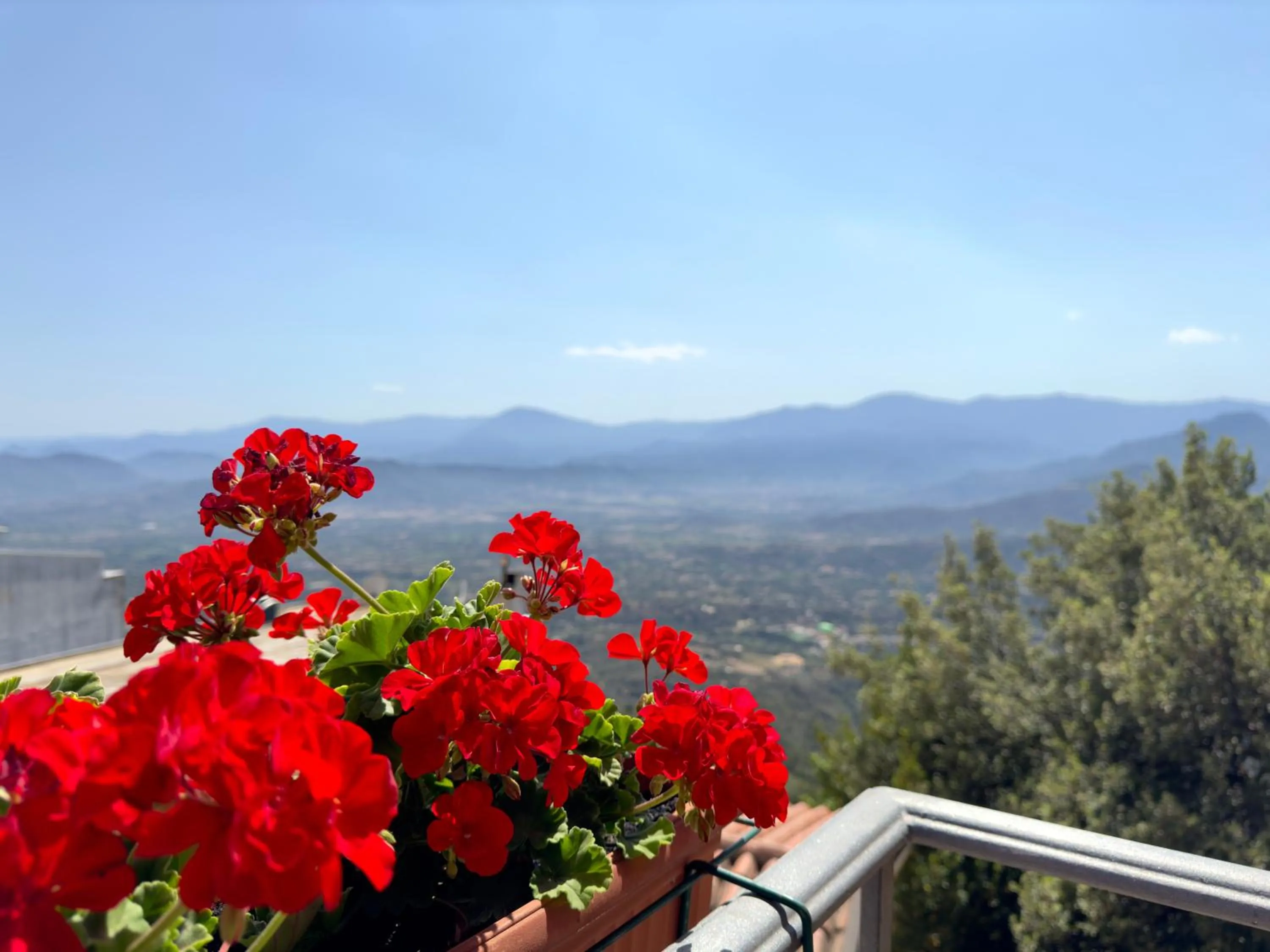 Mountain view in B&B Selvaggio Blu