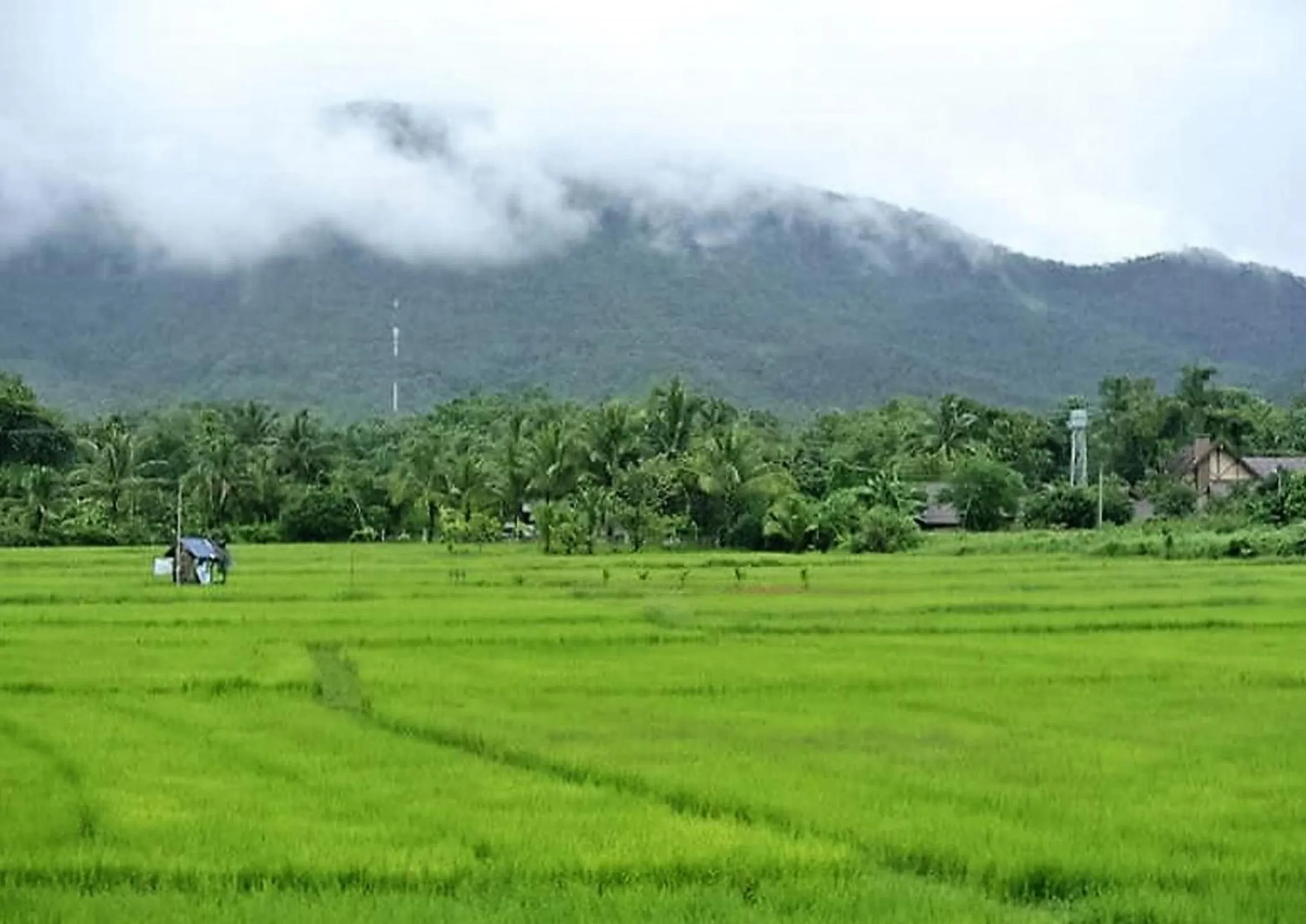Mountain view in Jamjuree Garden