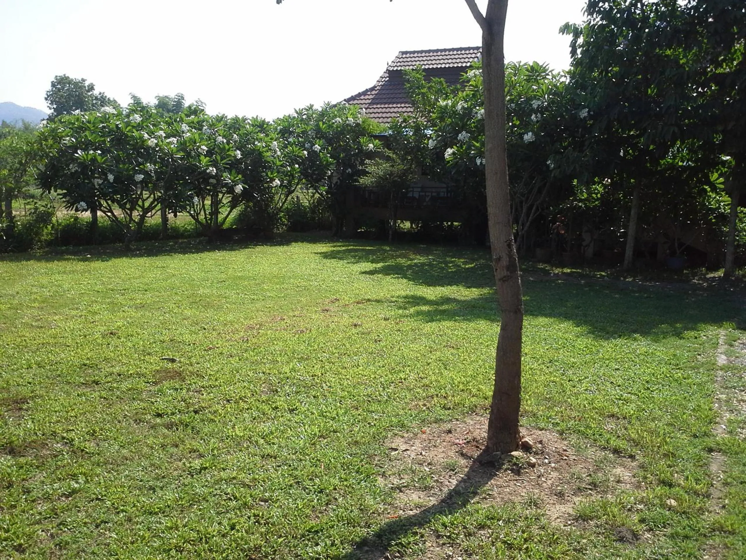 Garden in Jamjuree Garden