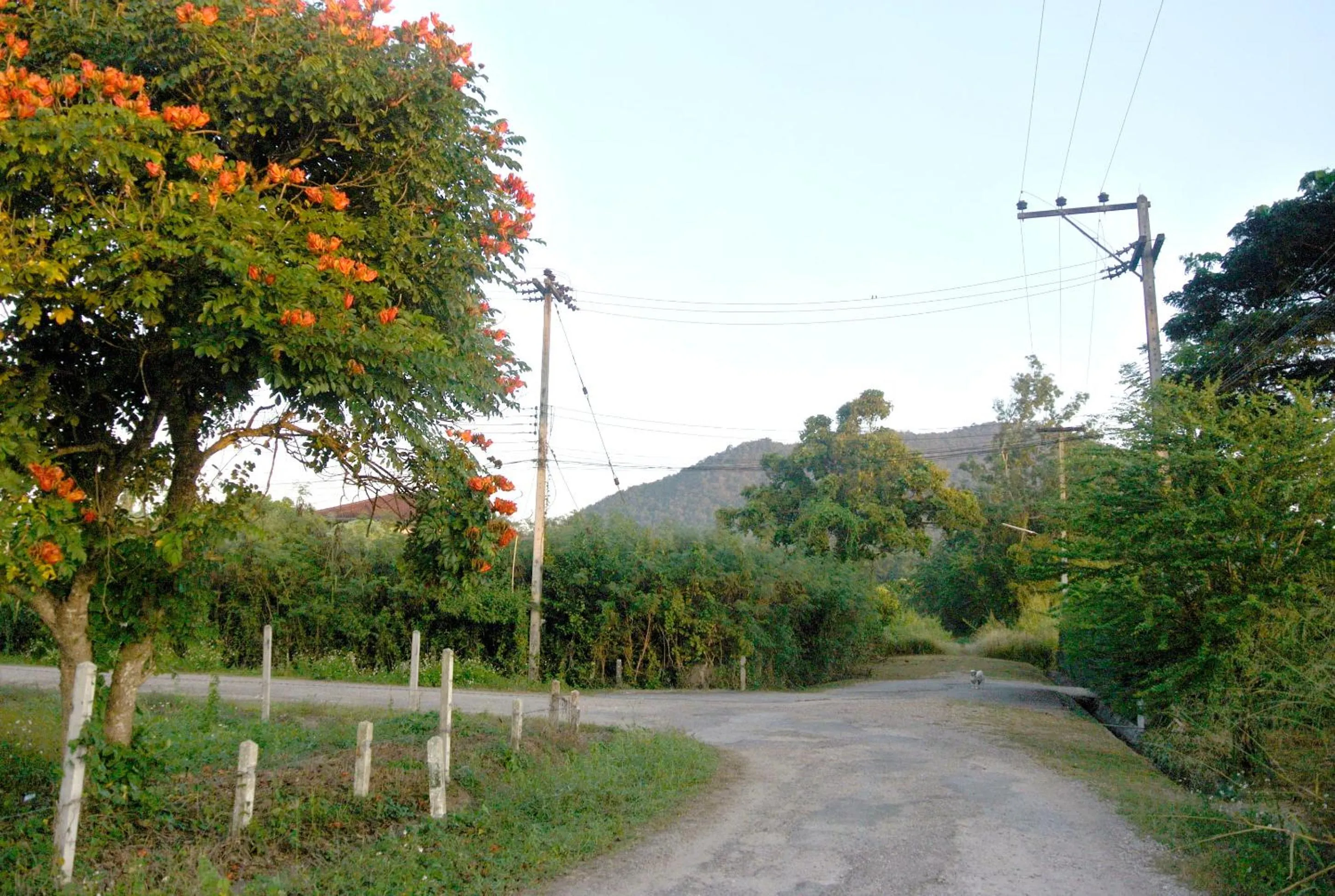 Property building in Jamjuree Garden
