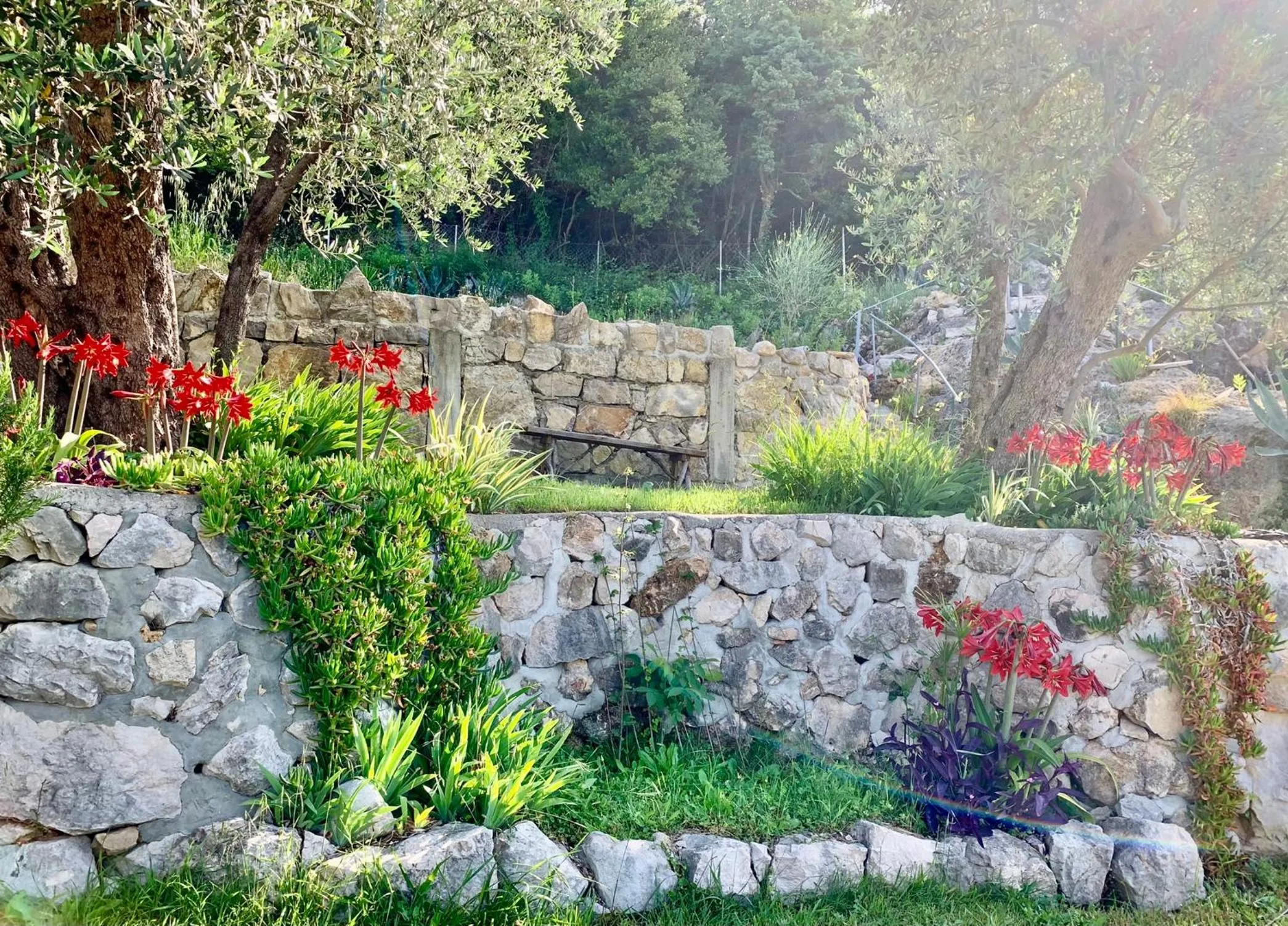 Apartments Mirian