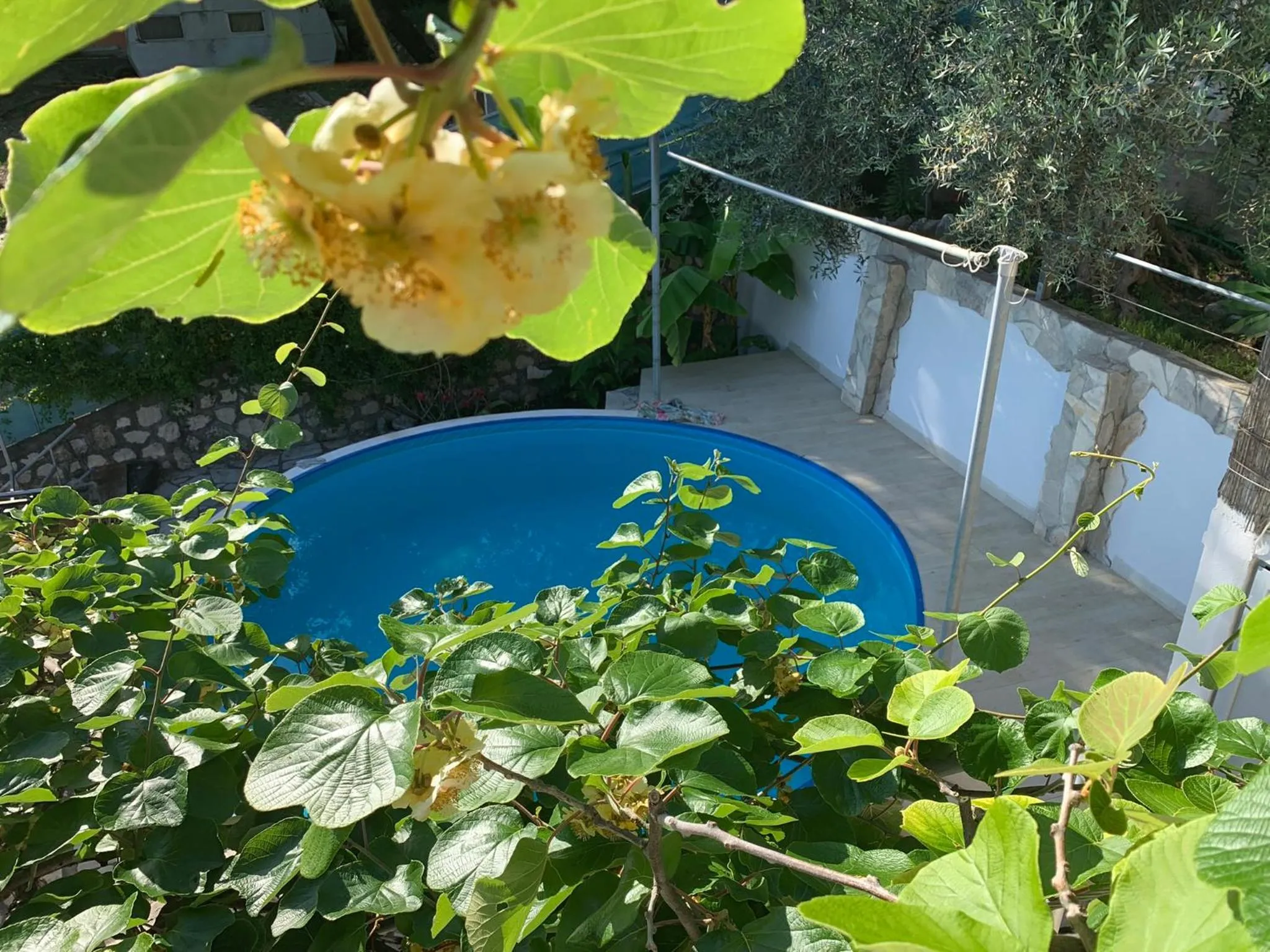 Apartments Mirian