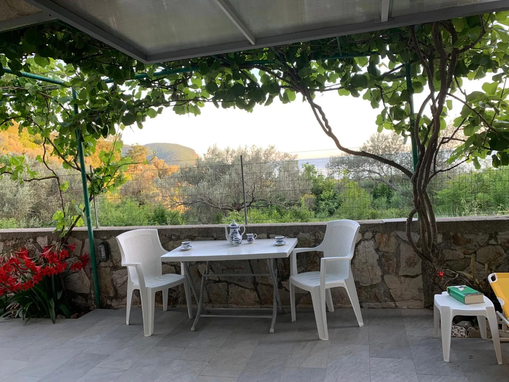 Apartments Mirian