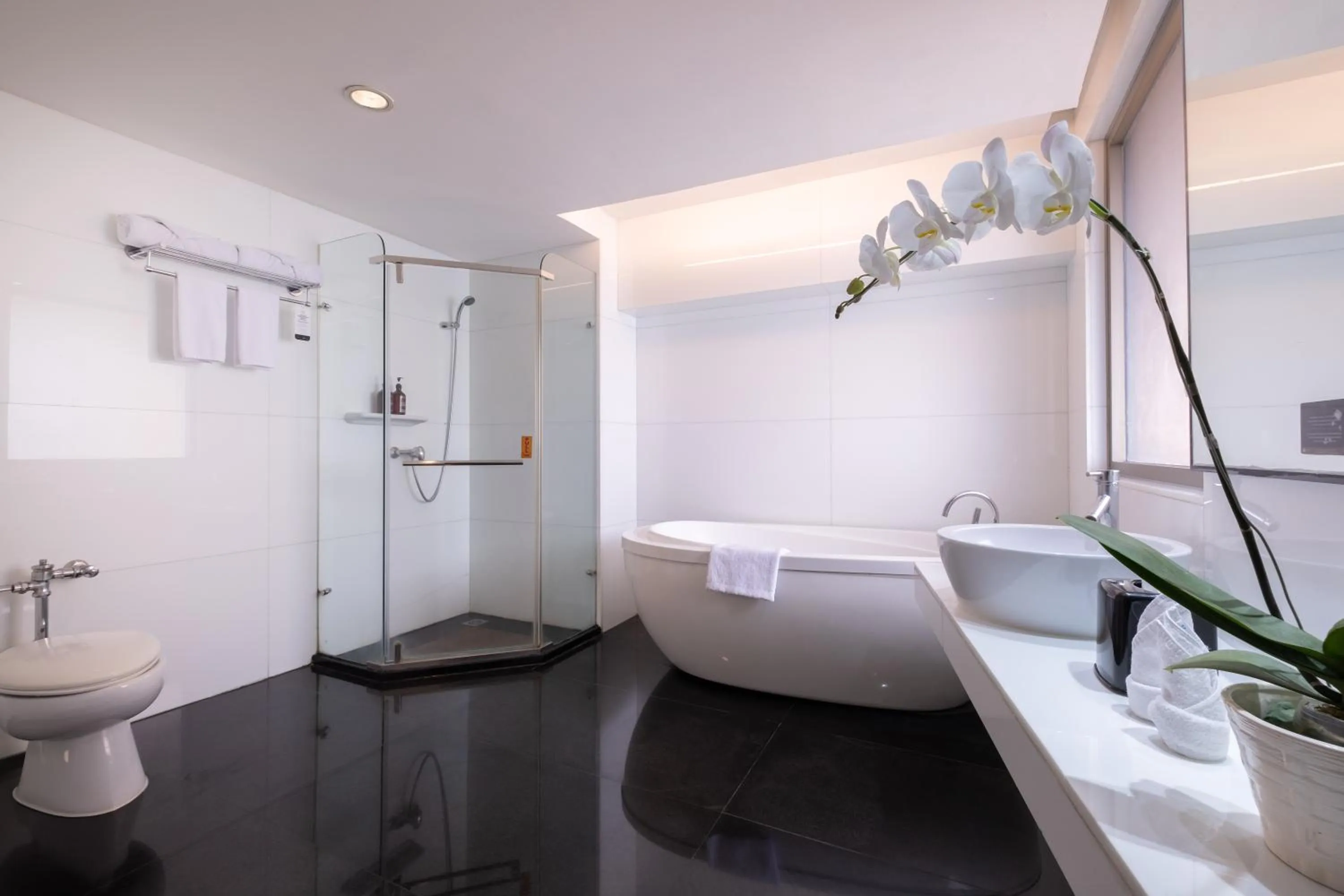 Bathroom in Merlynn Park Hotel