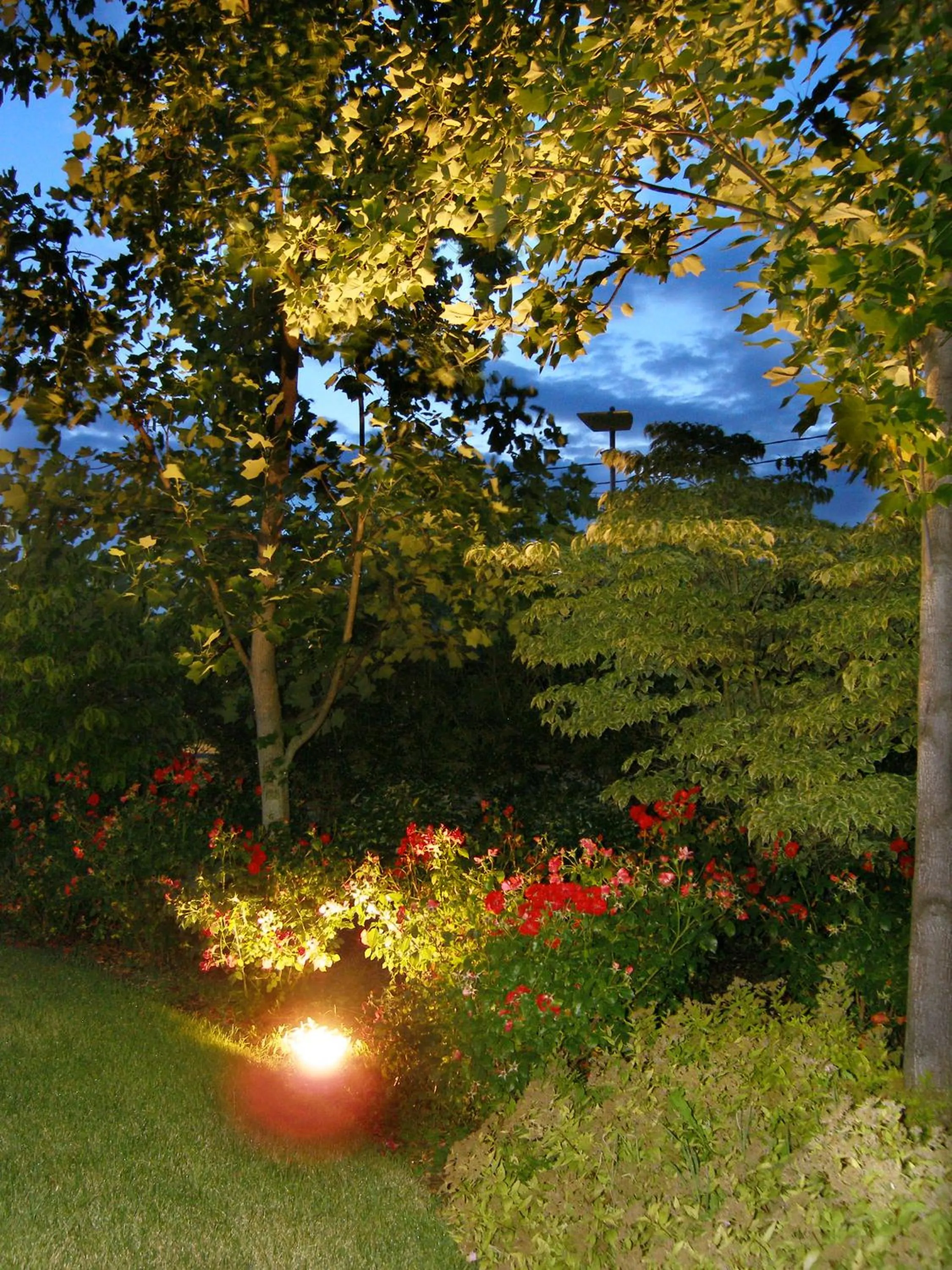 Garden in Relais Villa Annamaria Bed end Breakfast