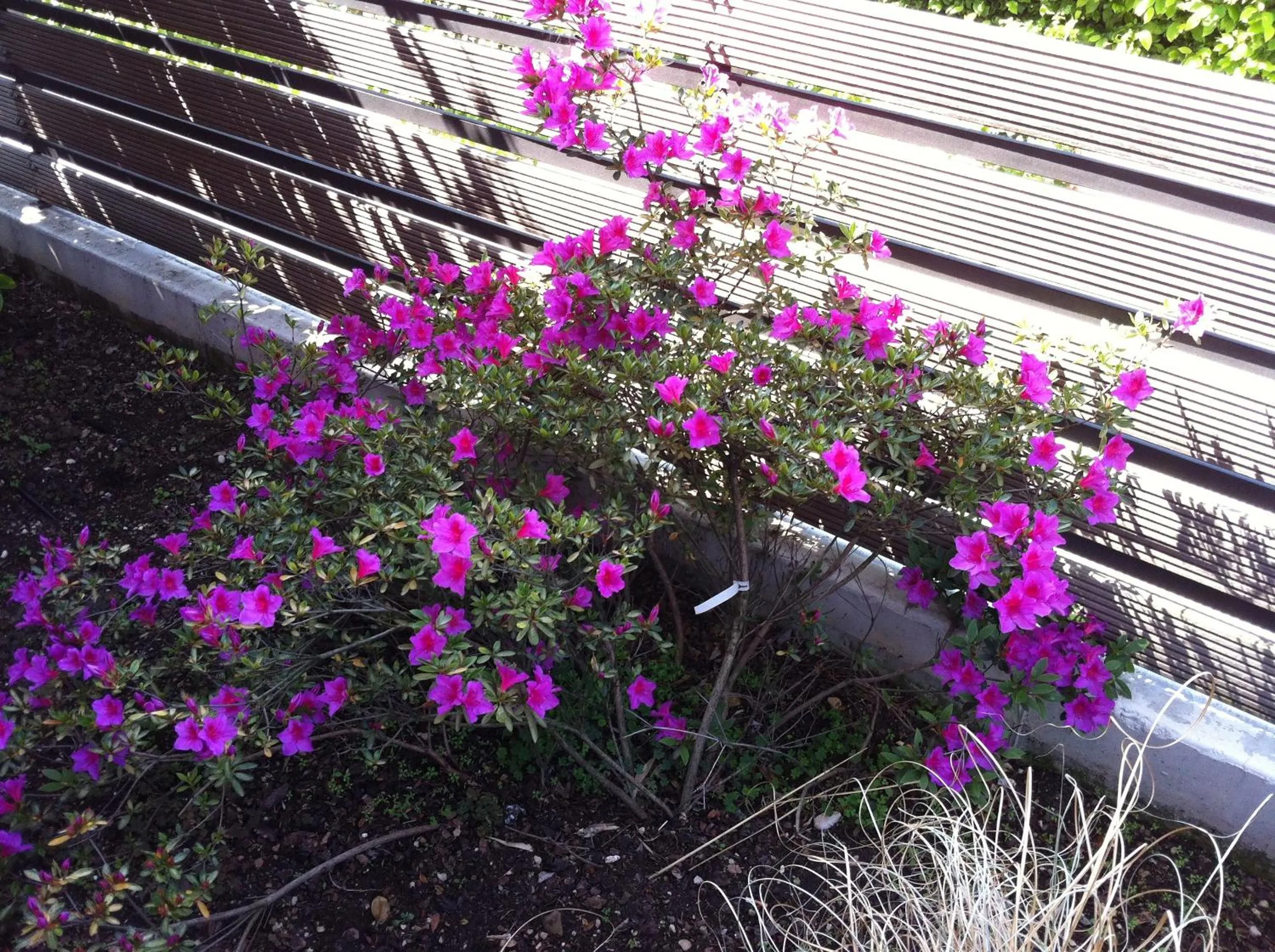 Decorative detail in Relais Villa Annamaria Bed end Breakfast