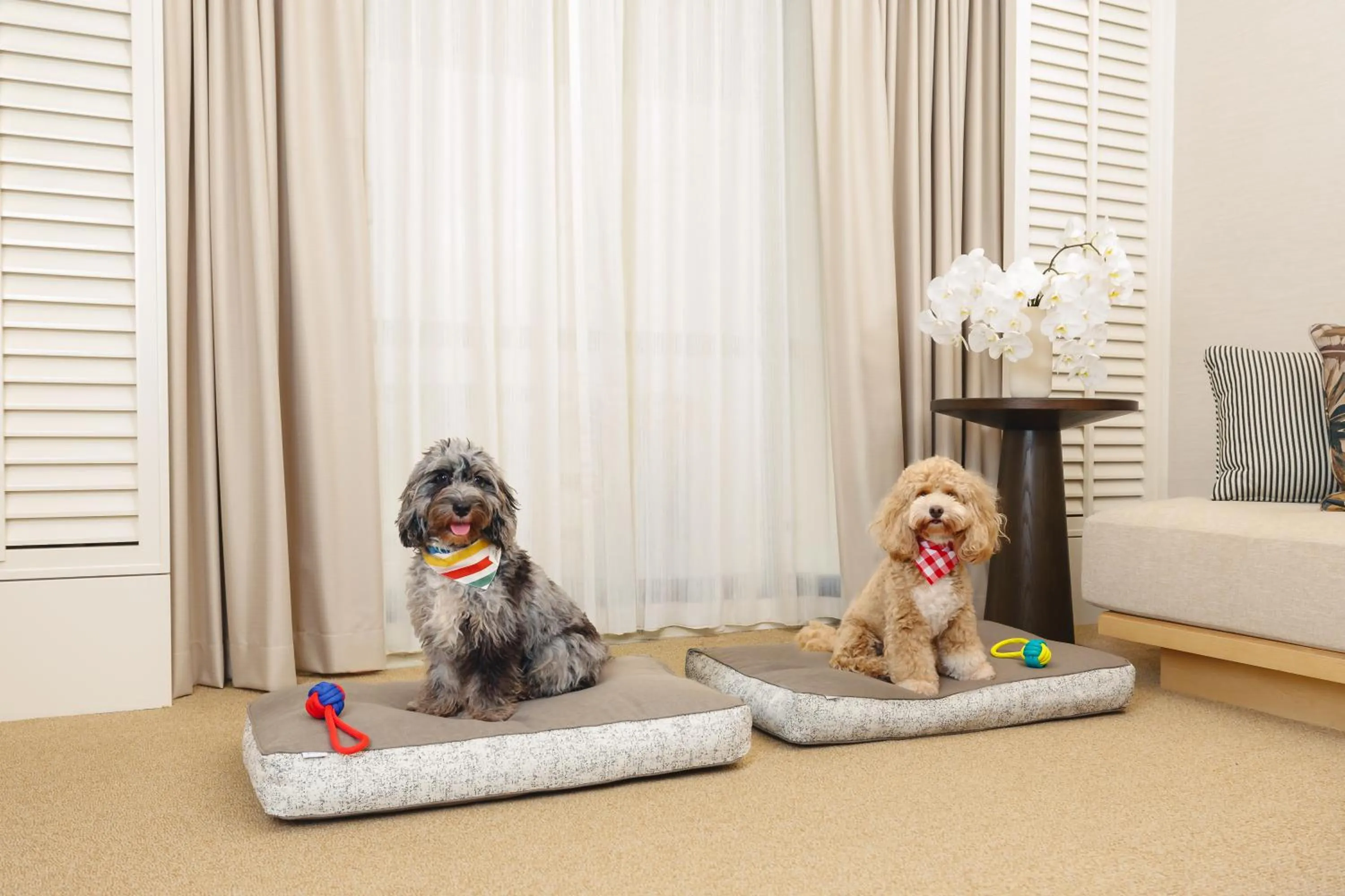 Patio in Conrad Singapore Orchard