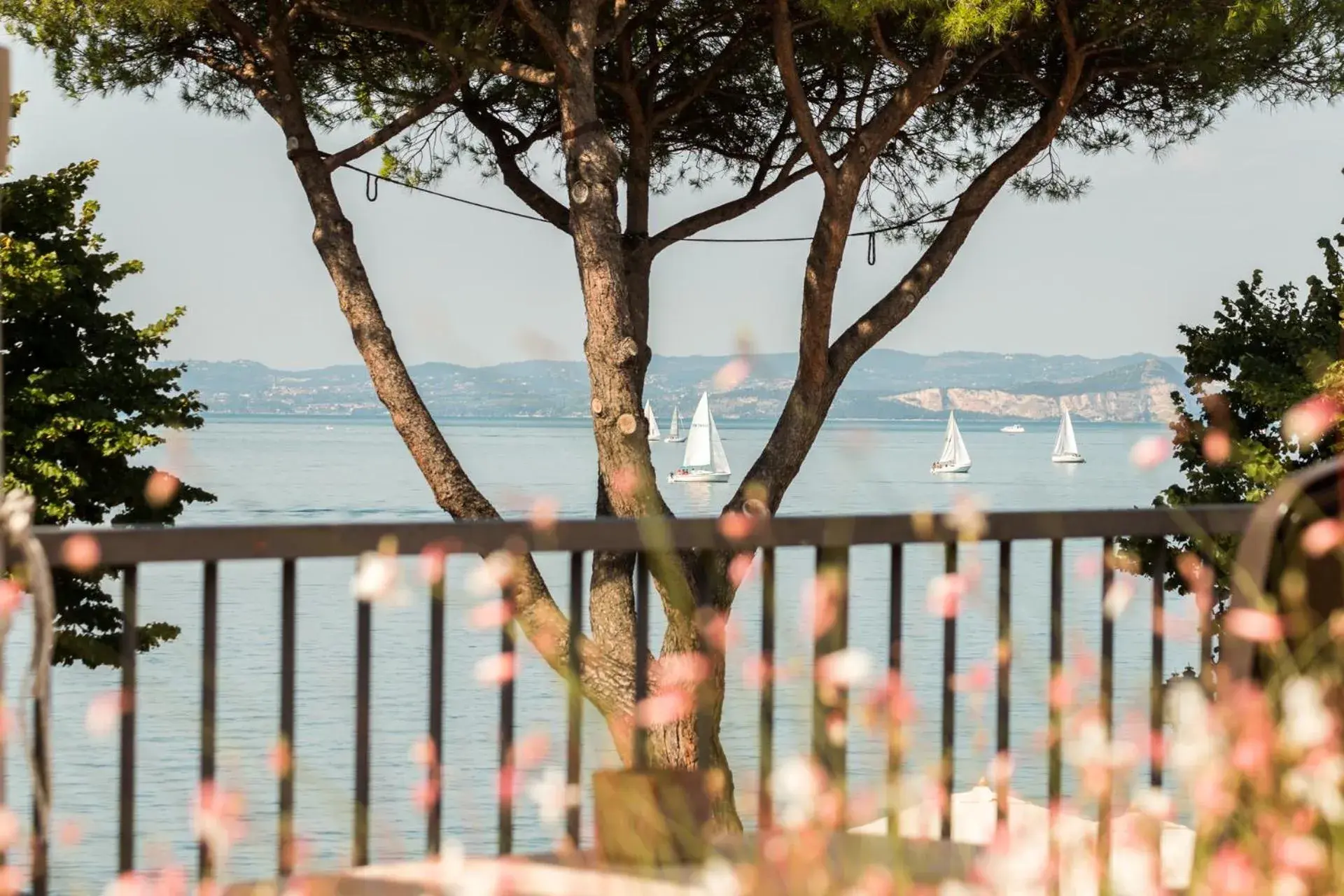 Lake view in Hotel Alla Torre